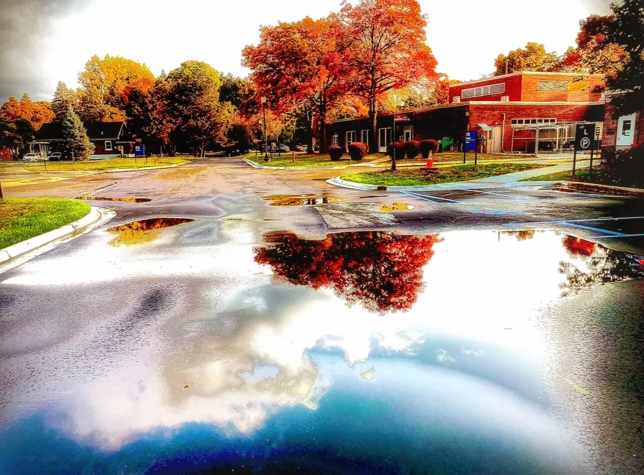 Reflections of autumn