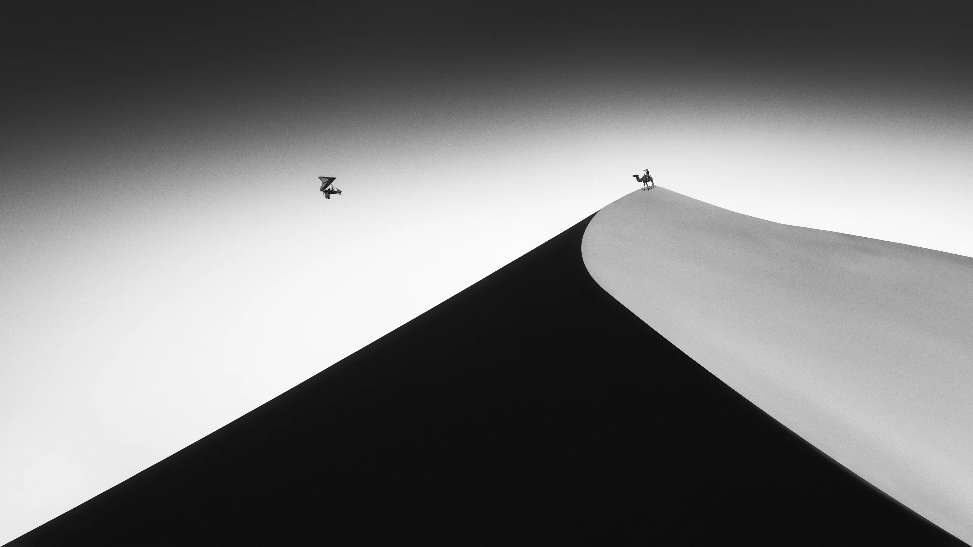 On the Sand Dune 2
