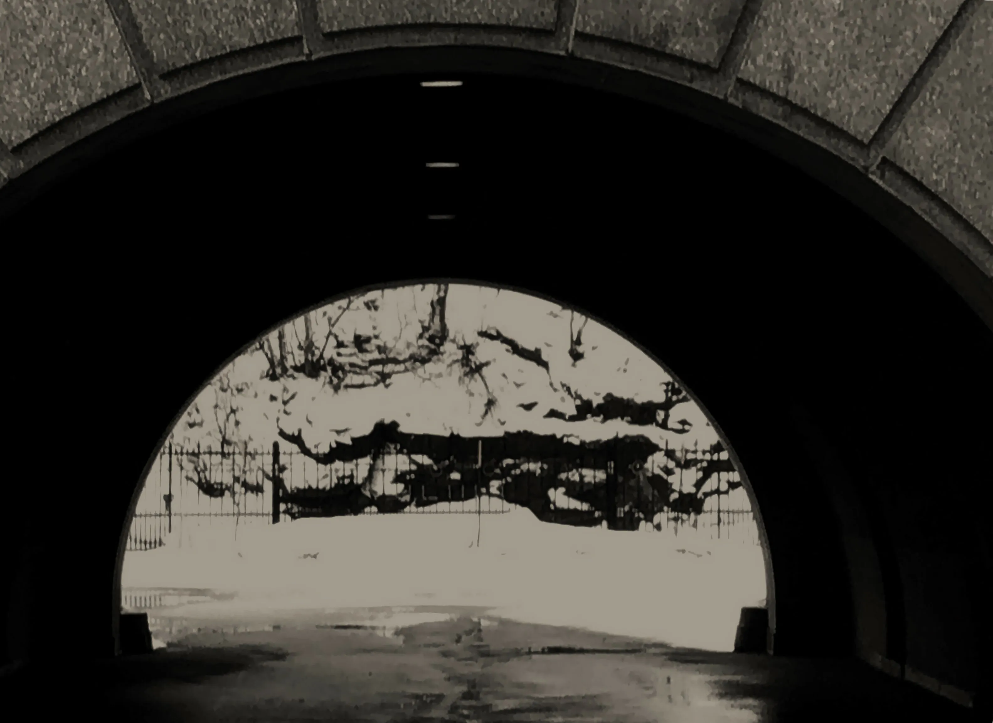 The Bridge