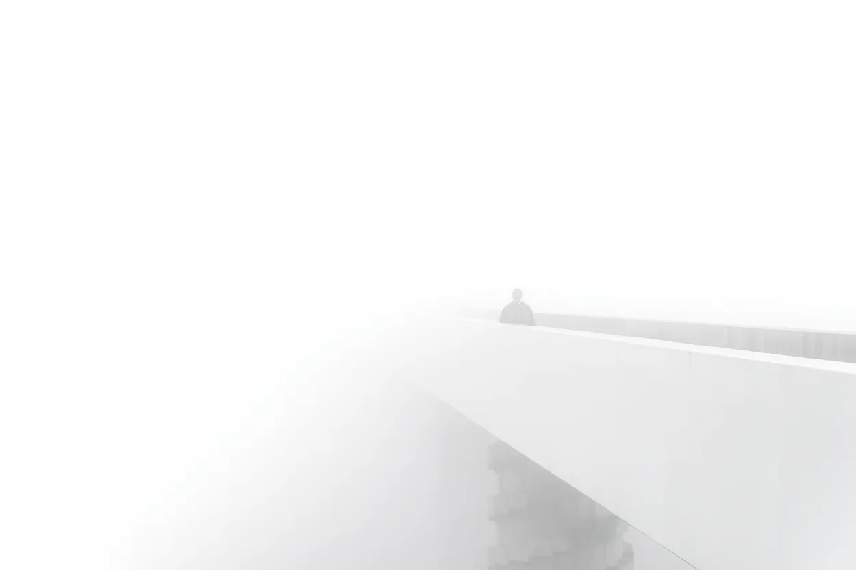 Entry 19081784