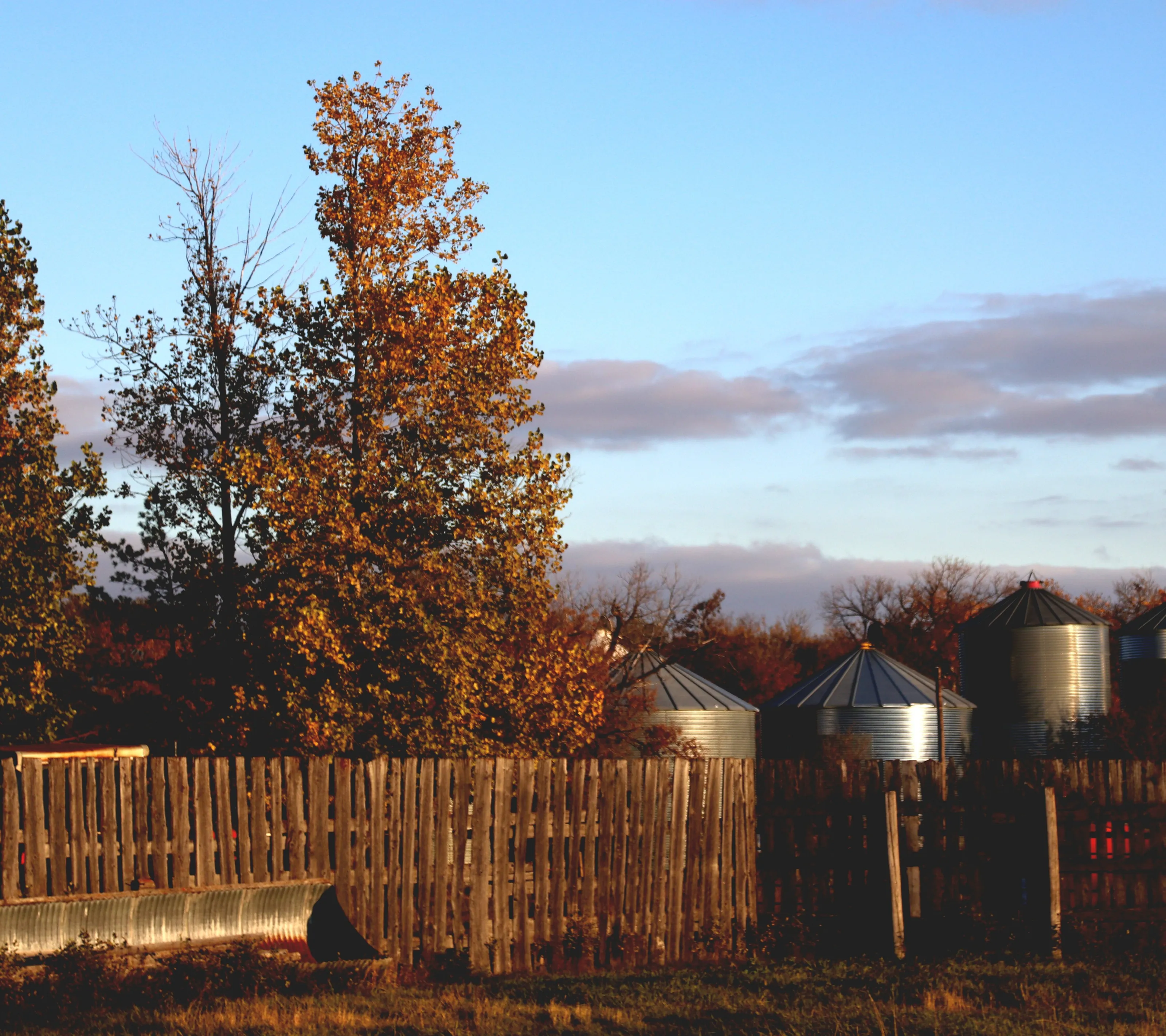 Farm life