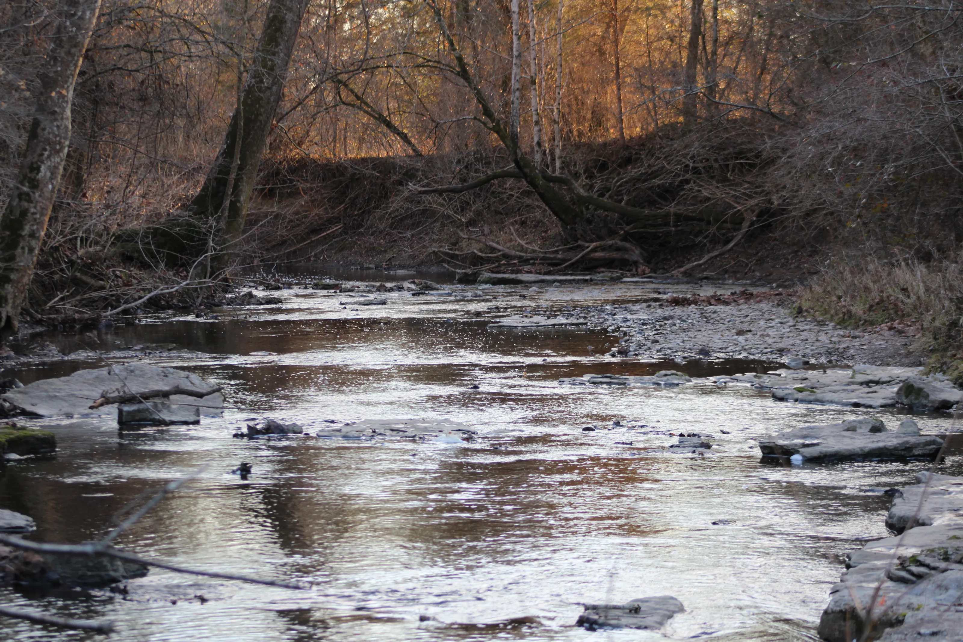 Creek.