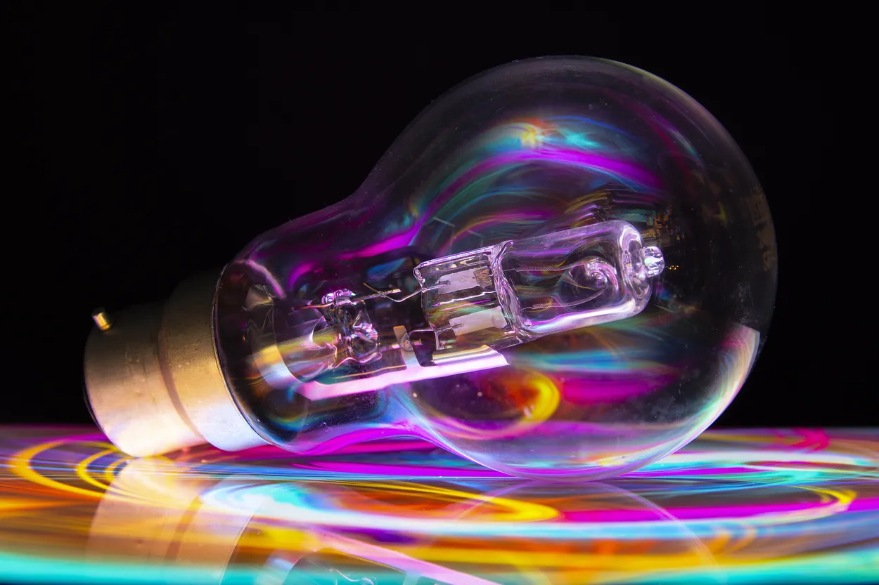 Entry 19094512