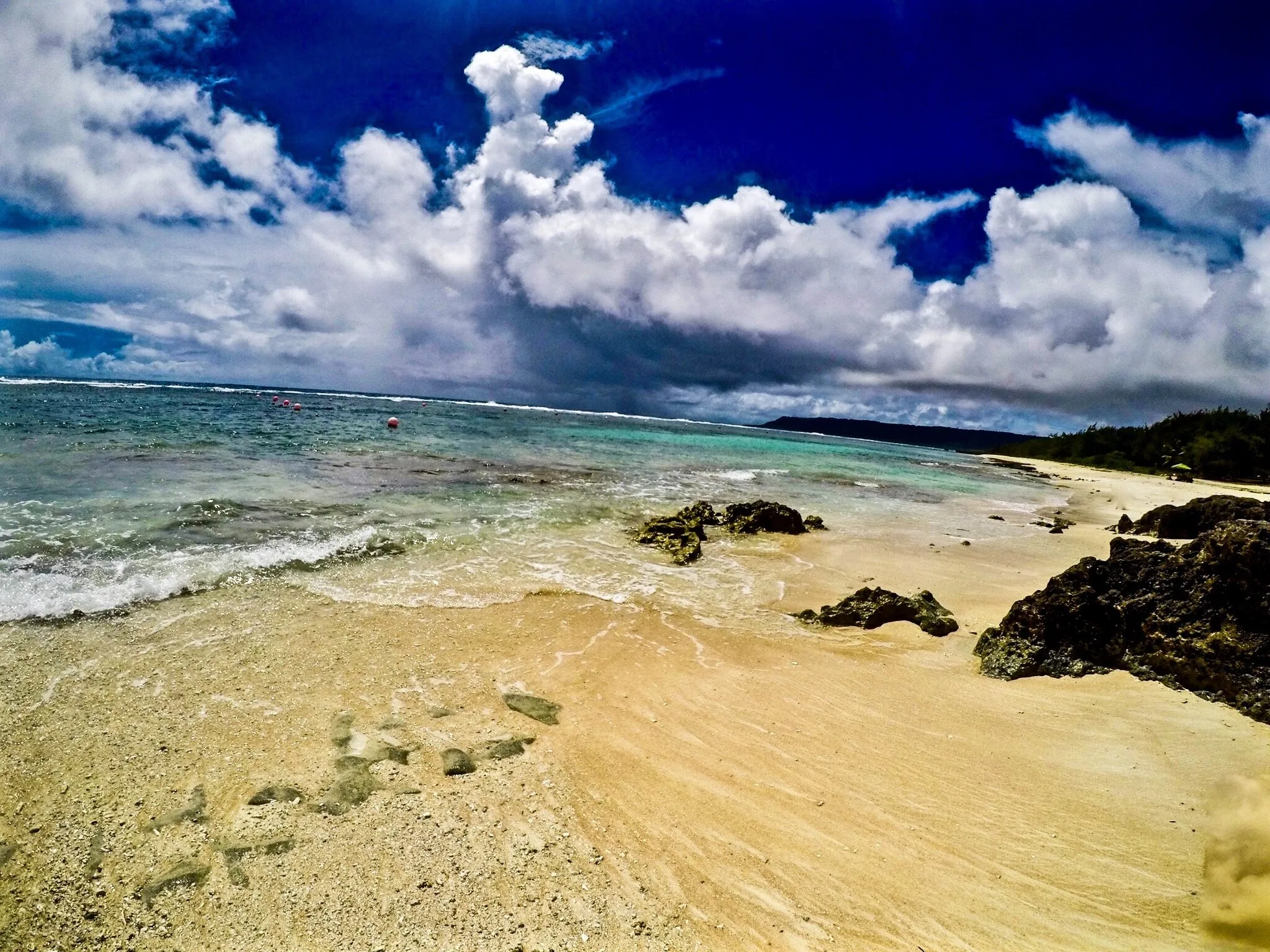 Summer at the Beach