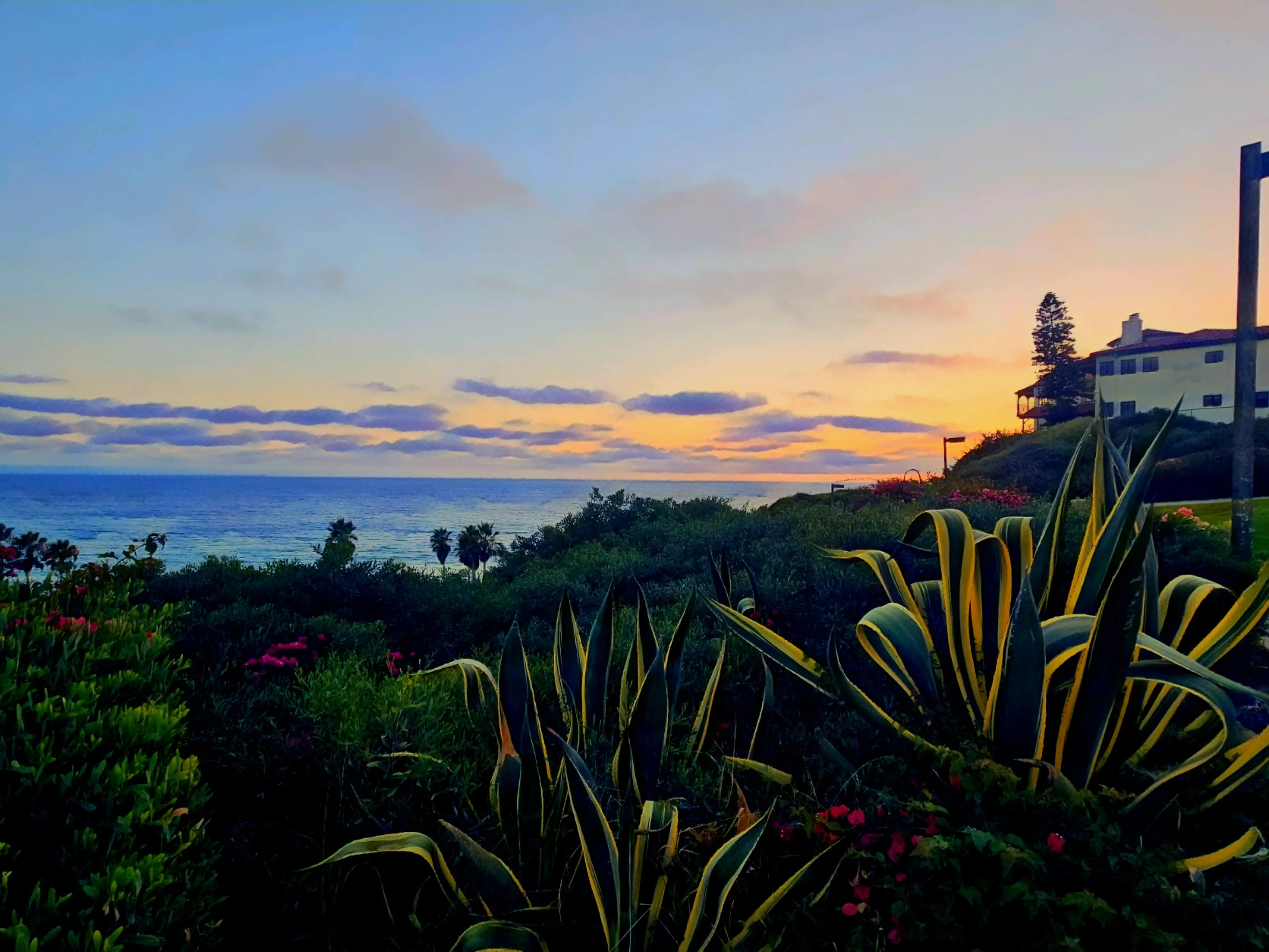 Beach sunset