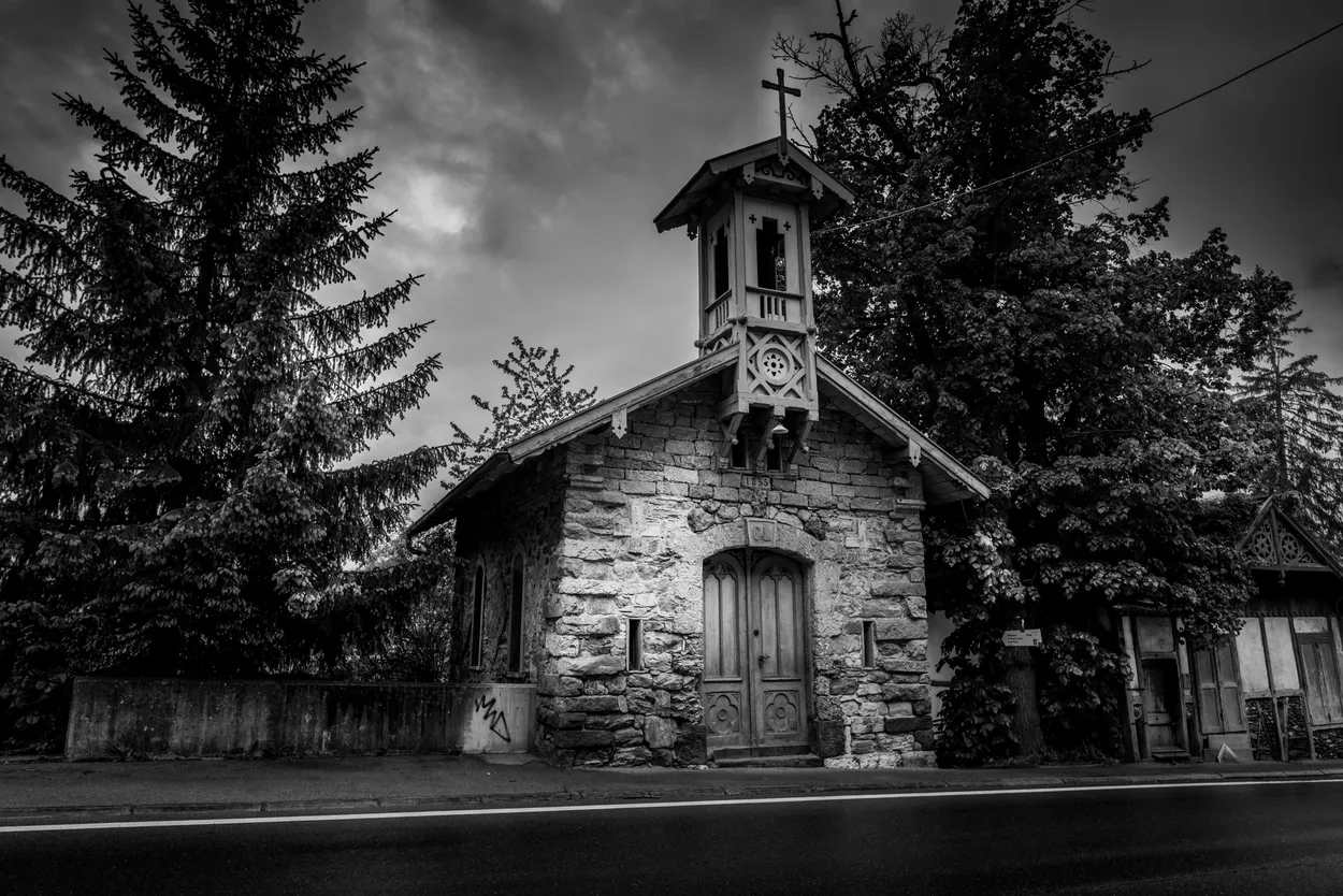Entry 19098877