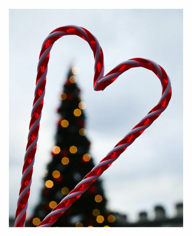Candy Canes shaped together in a love heart framing the festive red and gold lights on a Christmas t