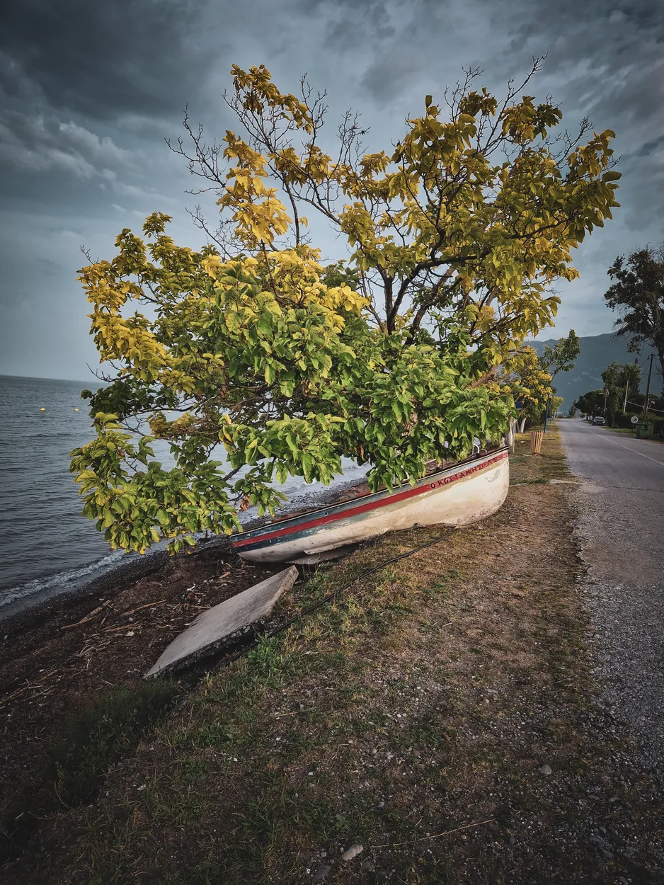 Entry 19103361