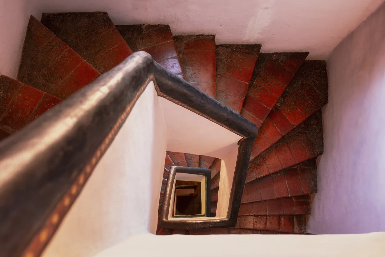 Entry 19106414