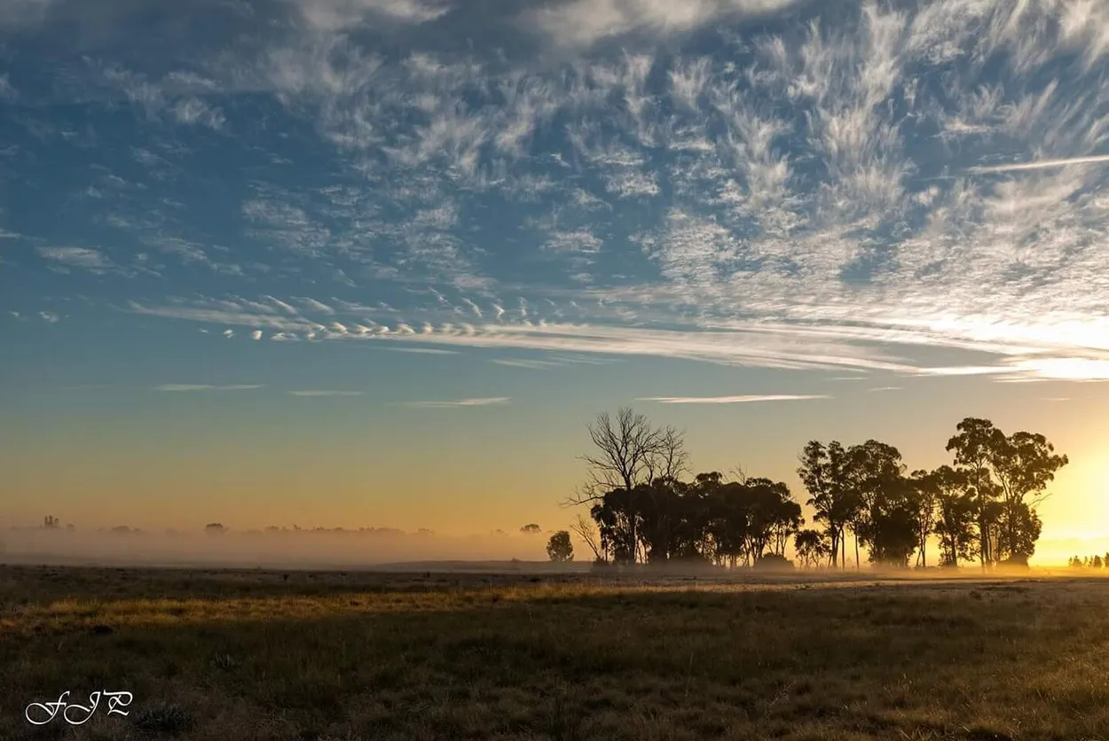 Entry 992862