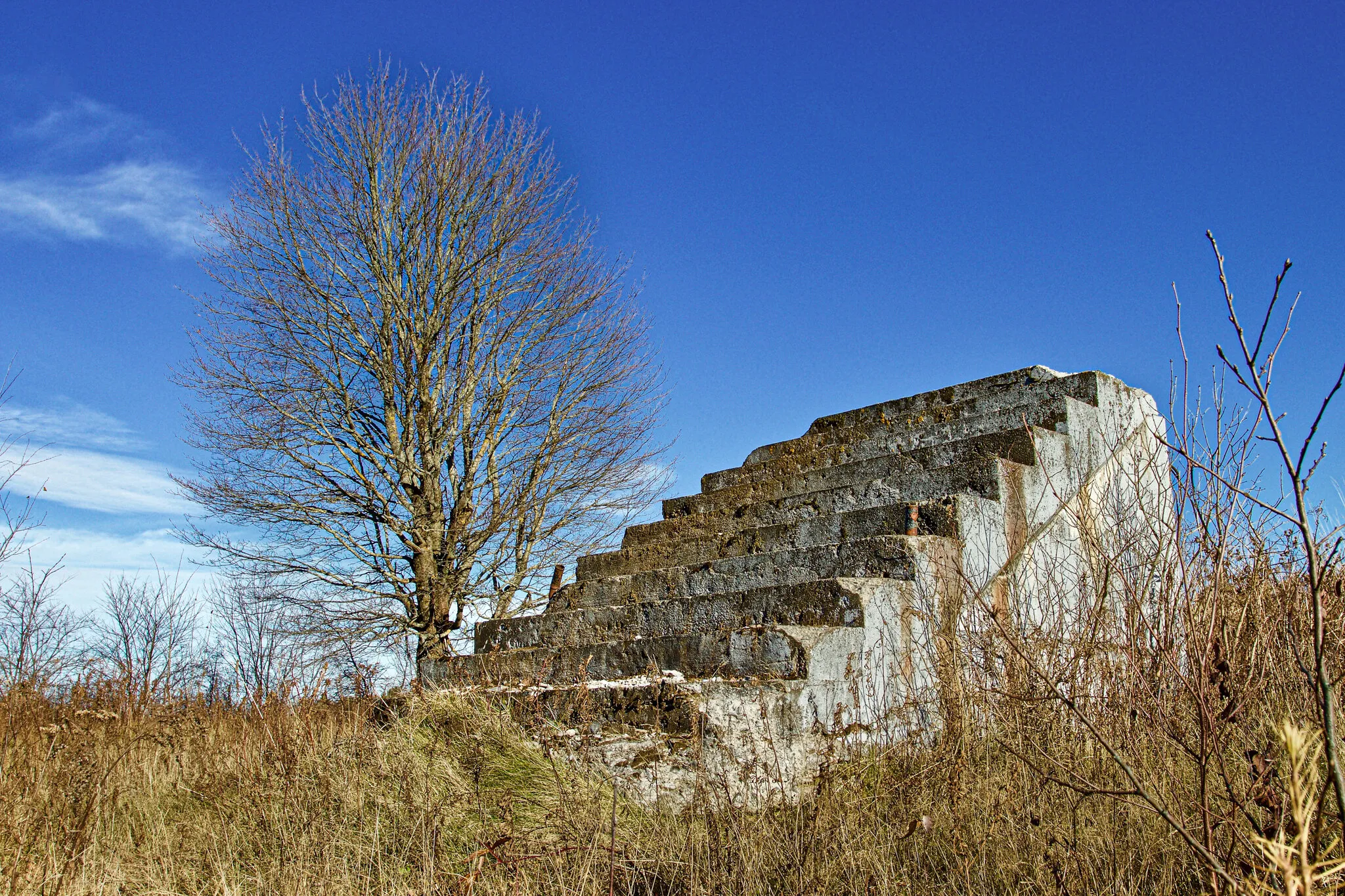 Entry 29551651