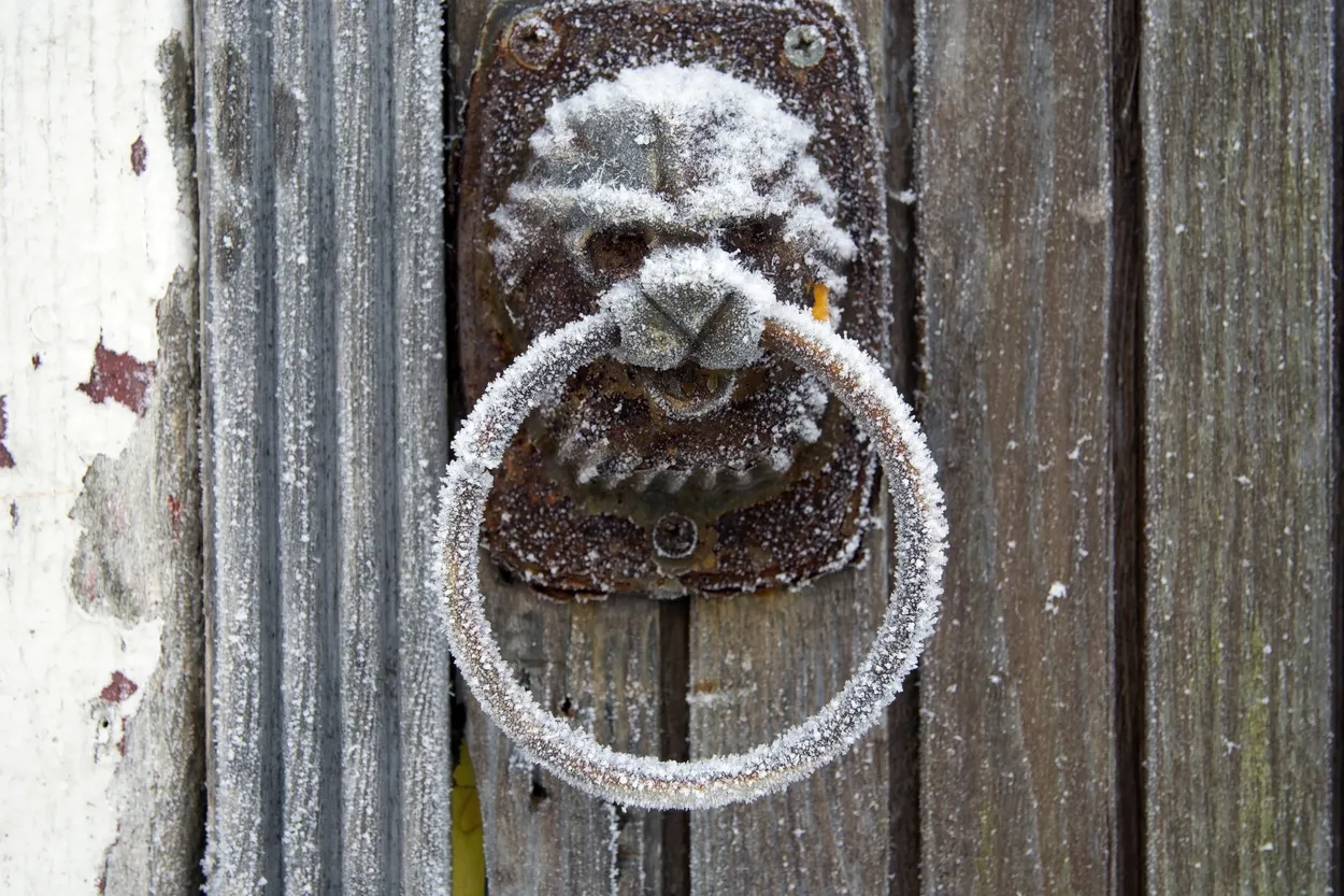 Entry 19118876