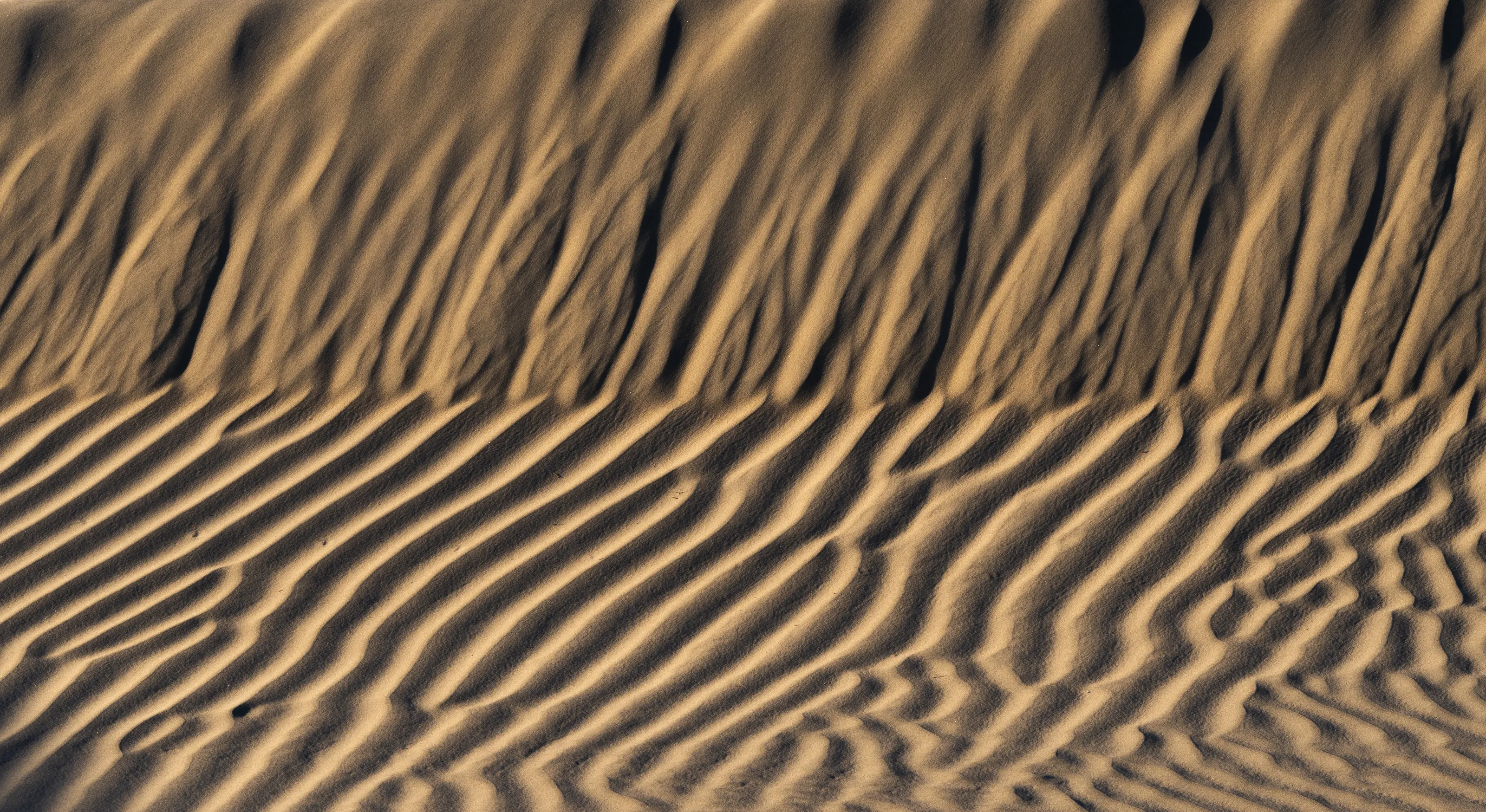 Patterns and Textures