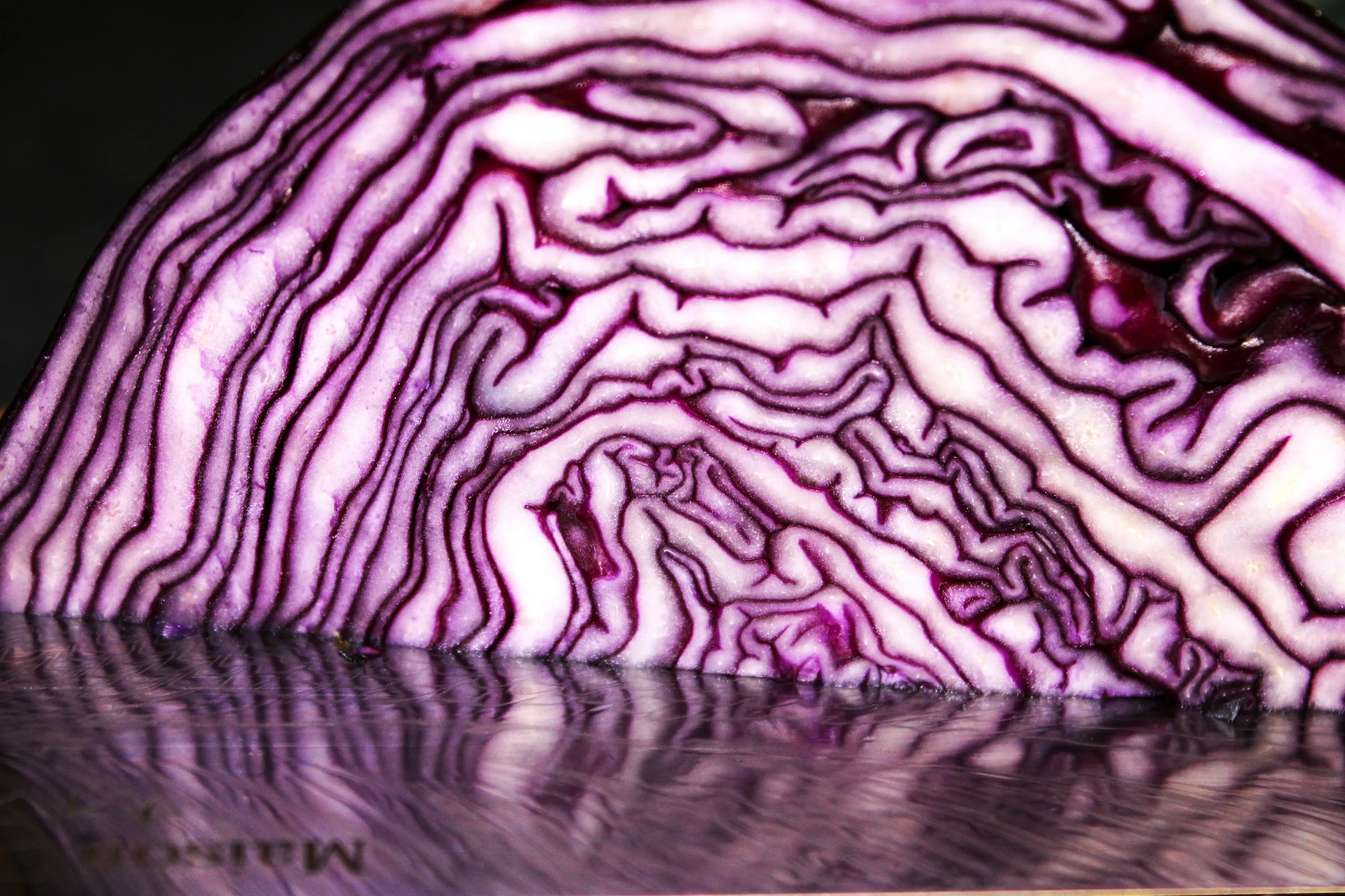 Cabbage reflection in the knife.