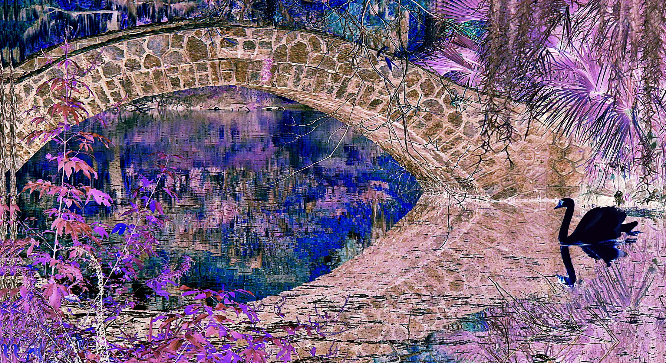 Entry 19127771