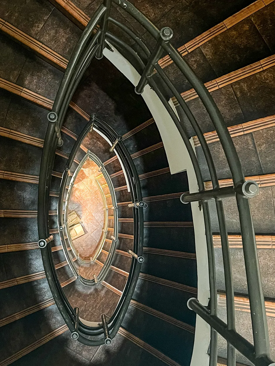 Entry 19127881