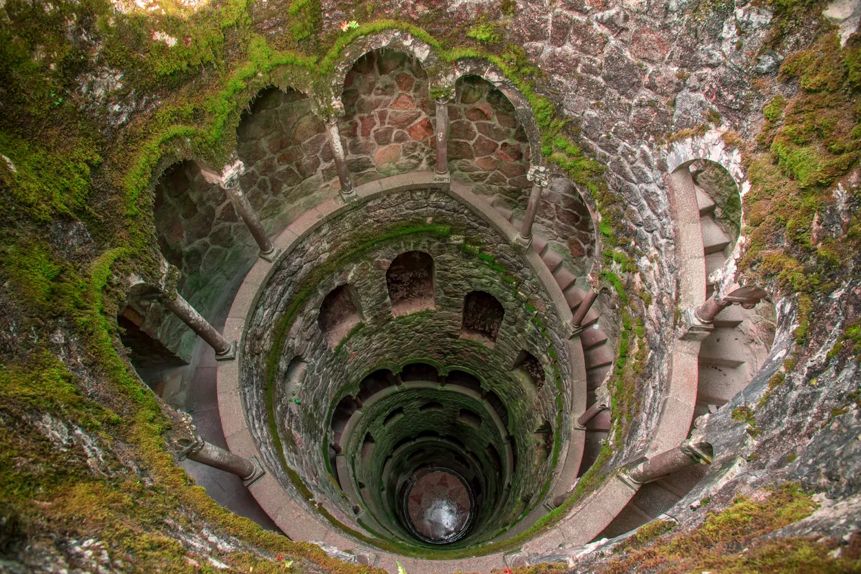 Entry 20807215