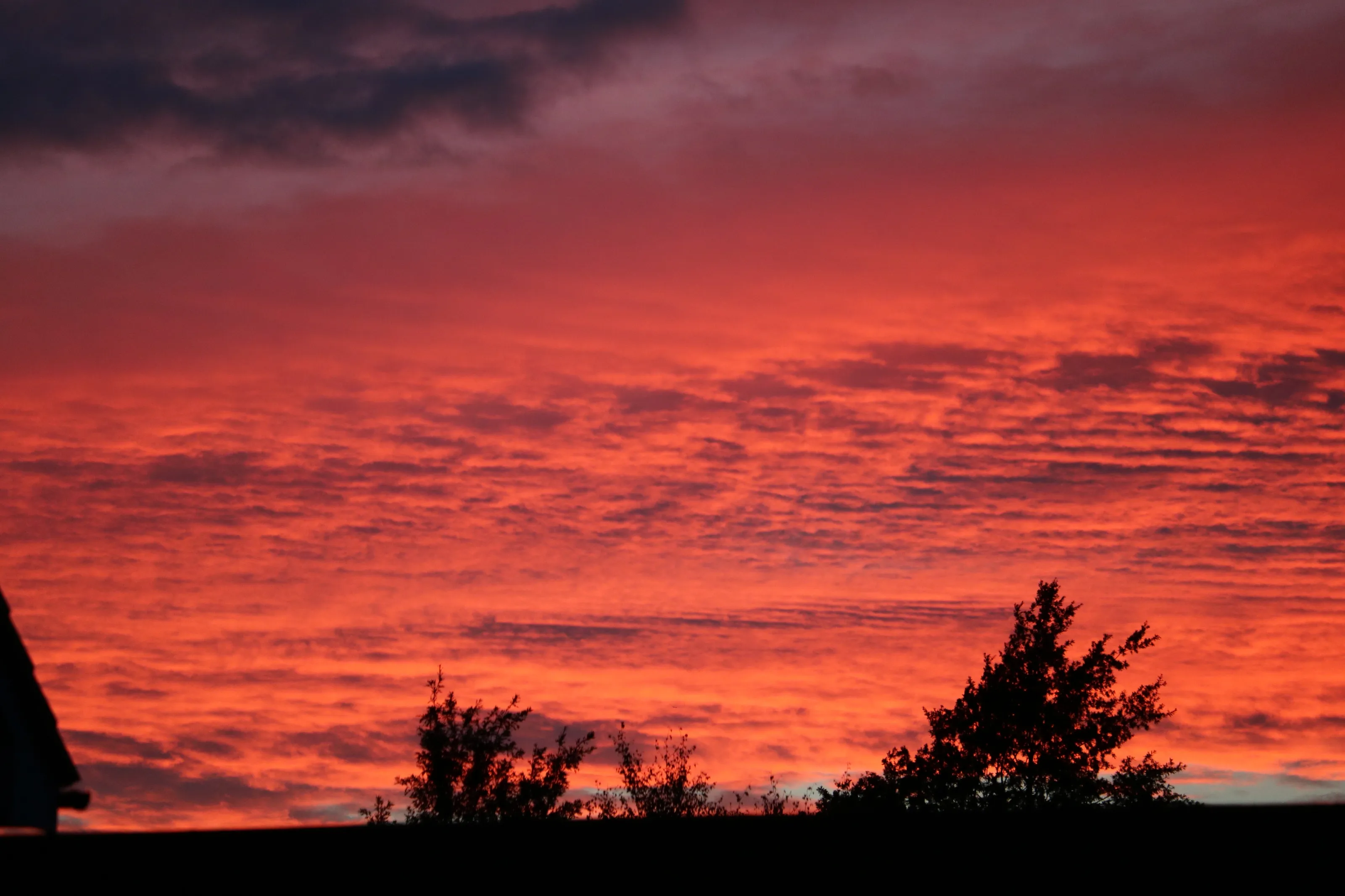 Summer Sunset
