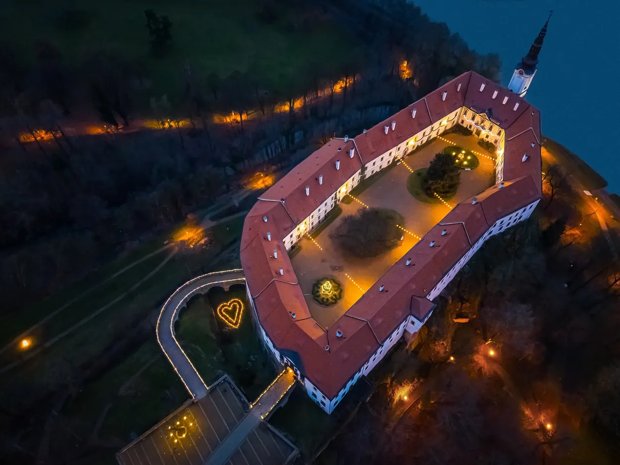 Entry 19813639