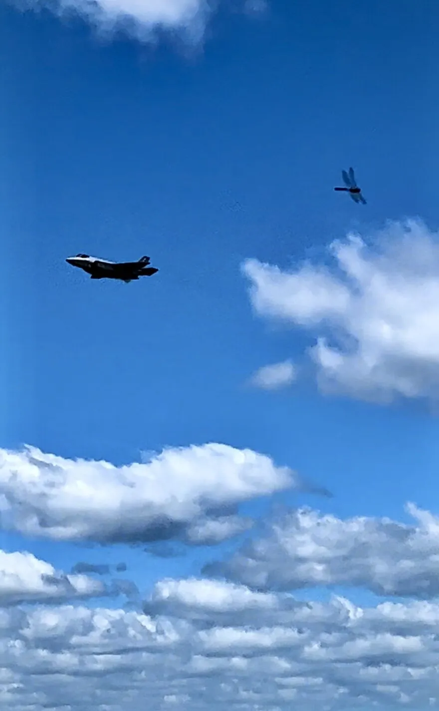 Dragonfly with F-35 jet