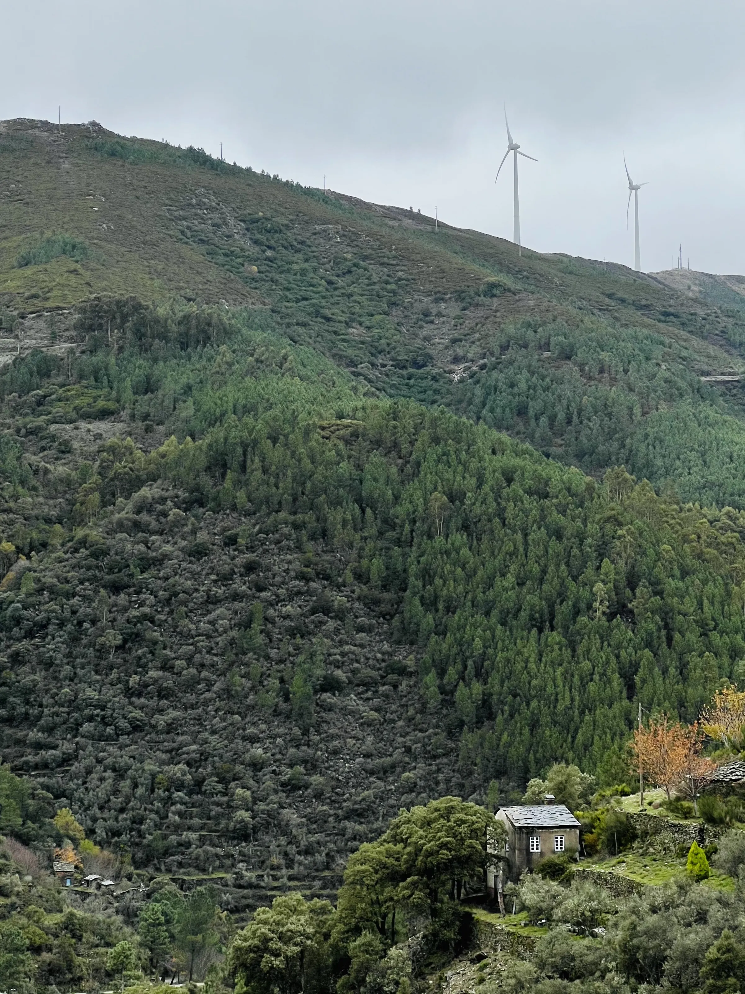 Green landscape