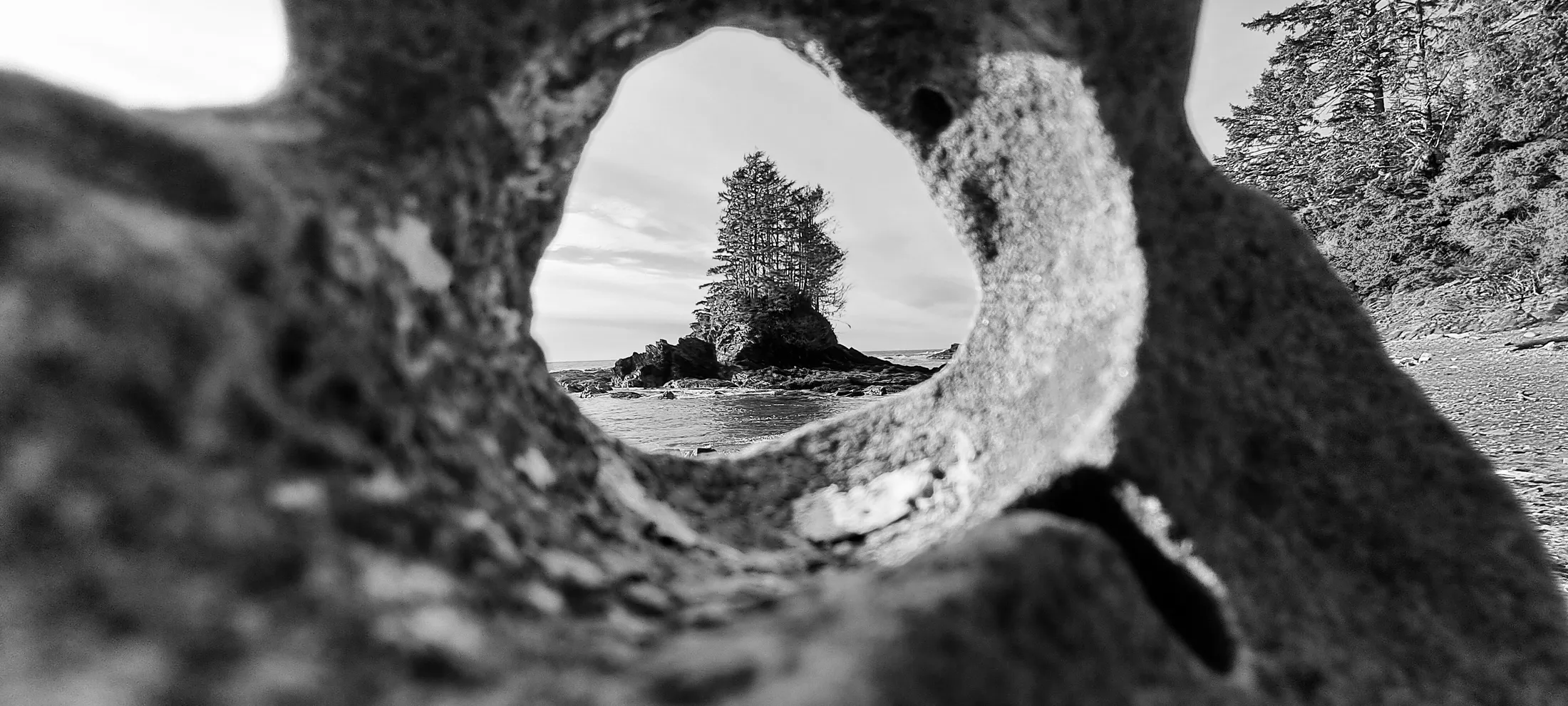 Entry 19156773