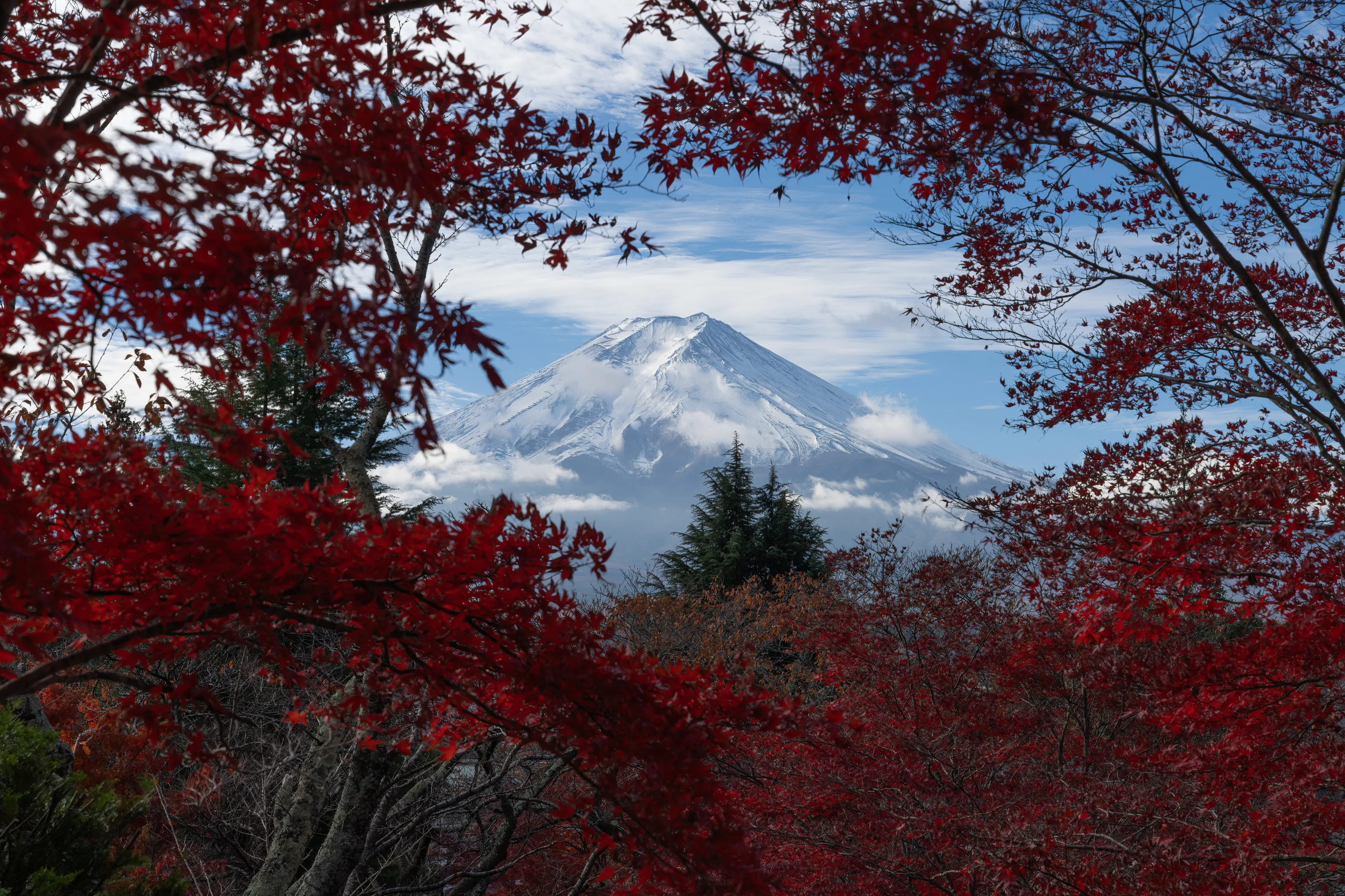 Fuji-San