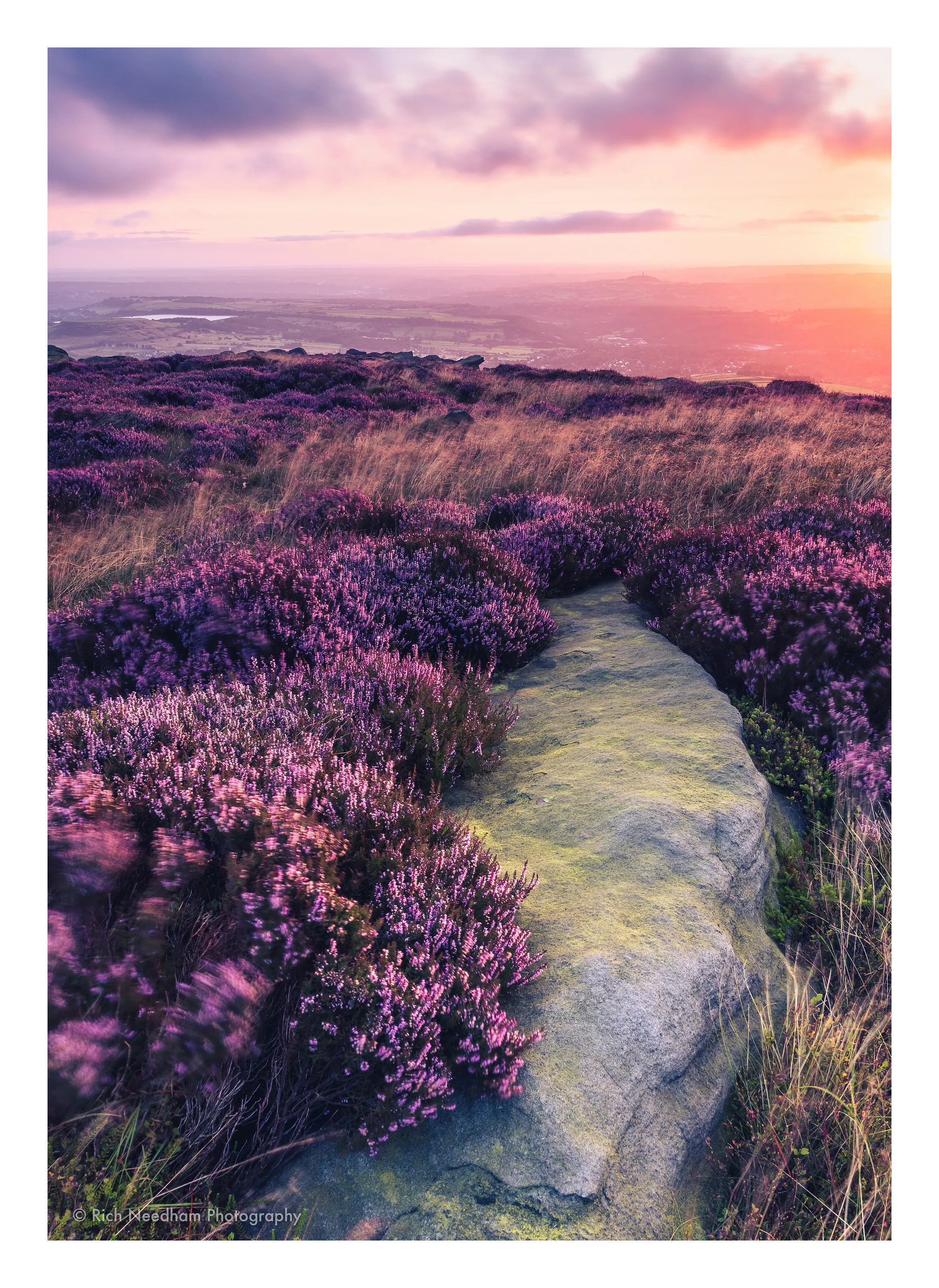 Purple blanket