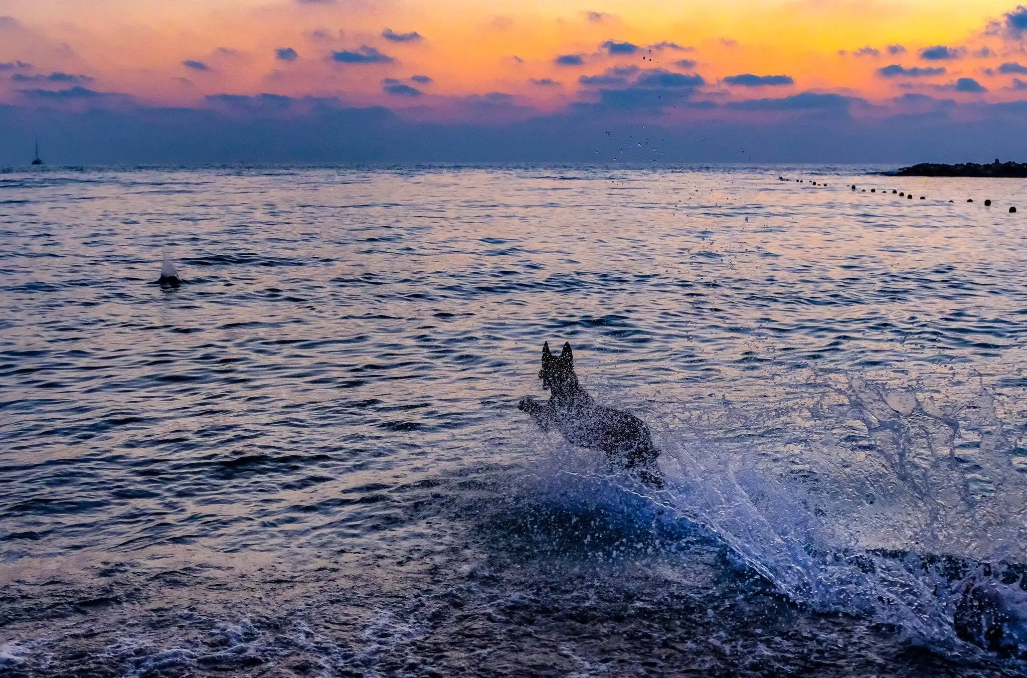 sea