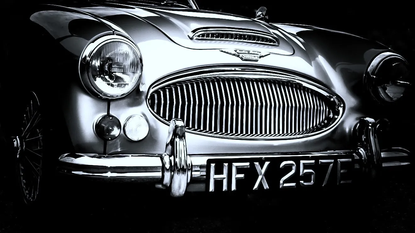 Entry 5441999