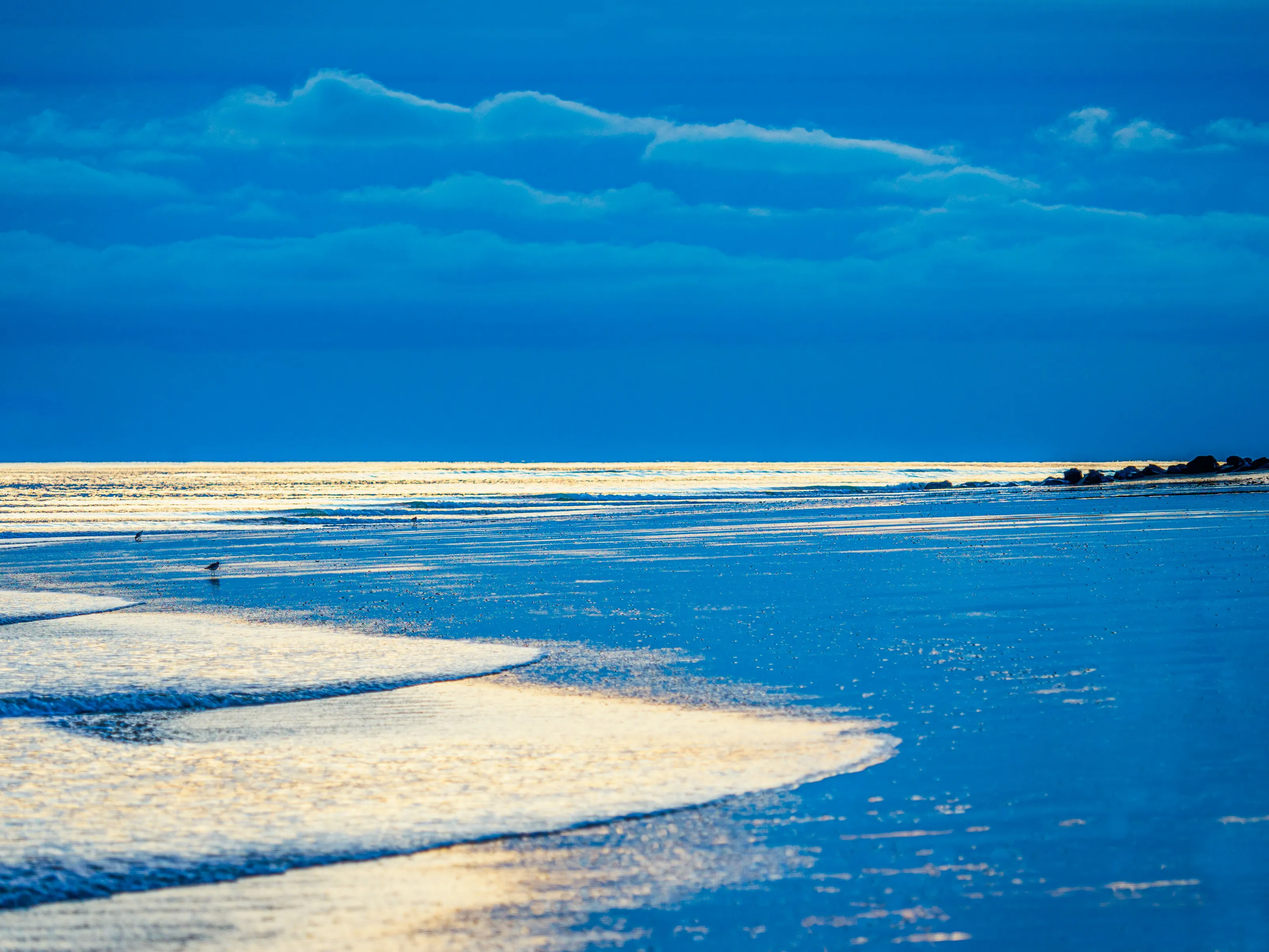 The 3 Birds and Blue Hour