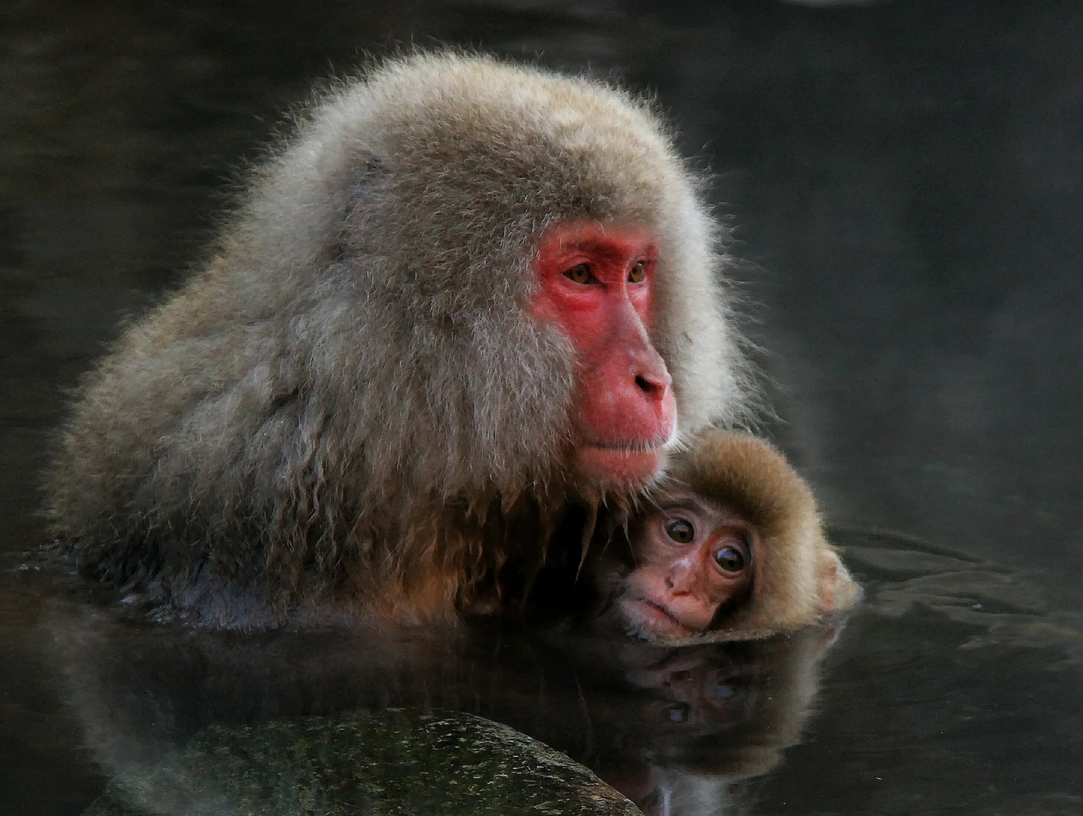 Hold me, mommy!