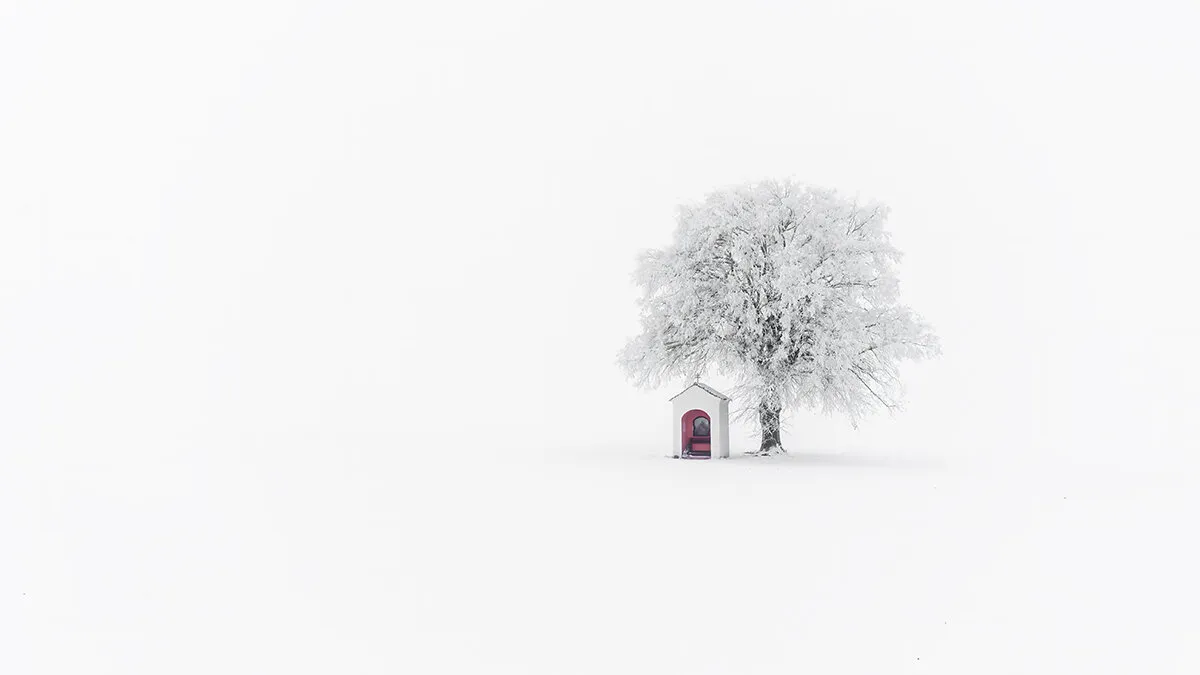 Entry 19178822