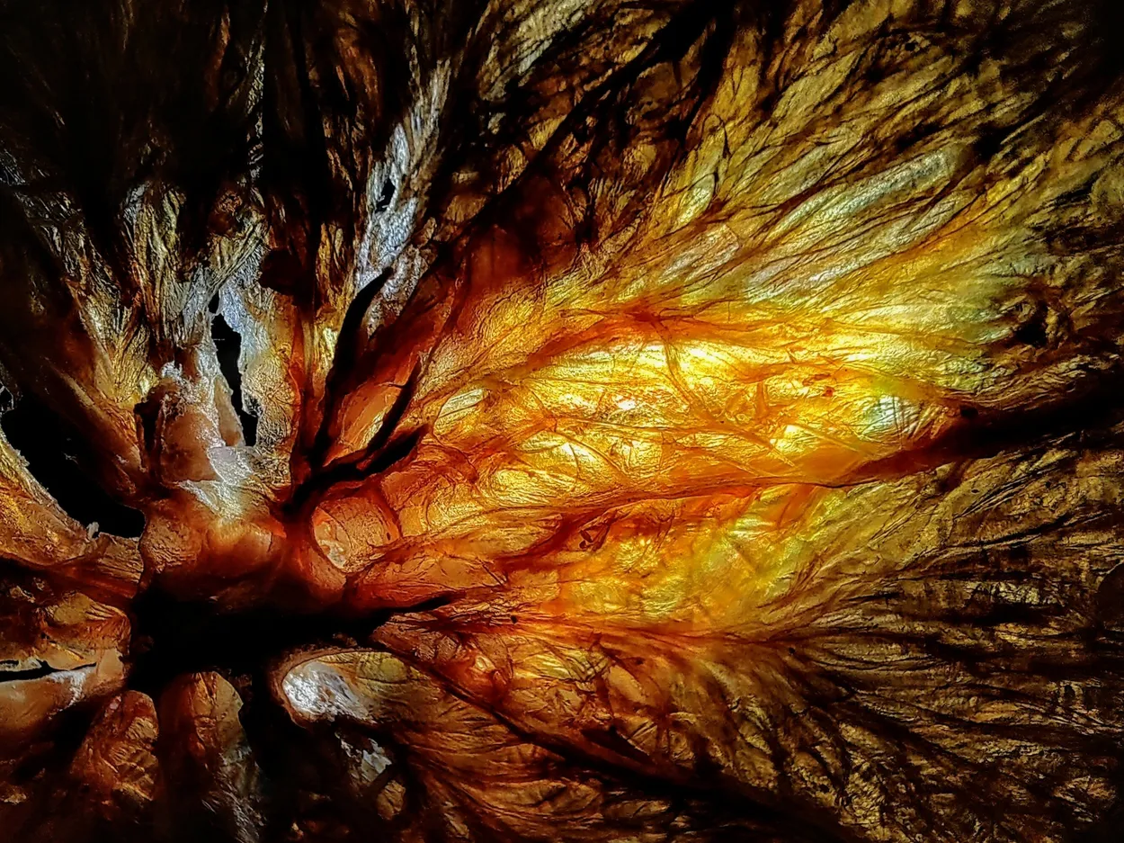 Dried Tangerine