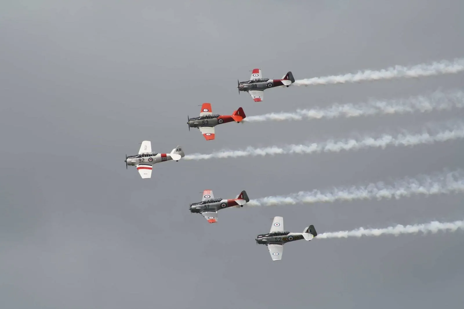 Harvard 3s in flight