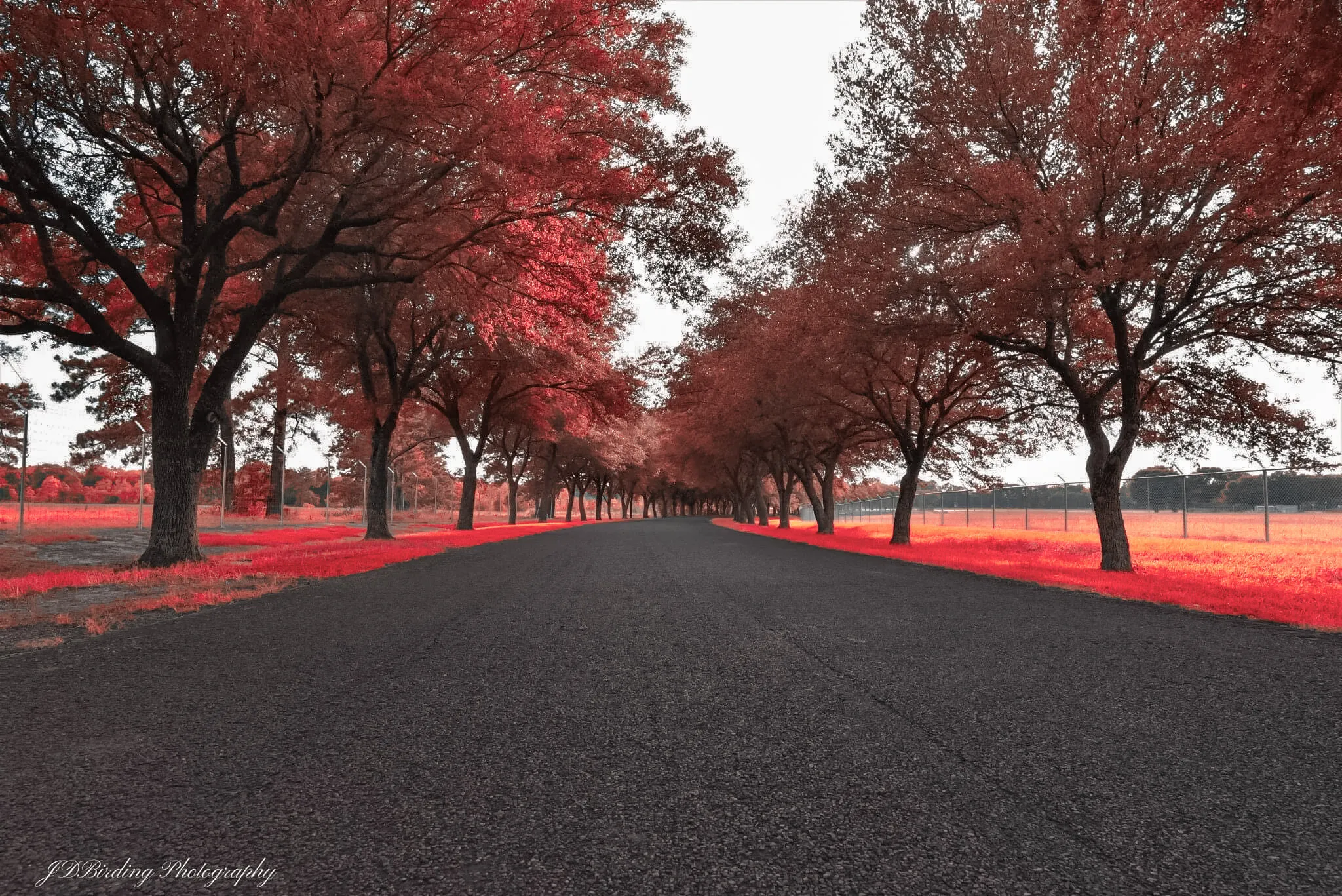 The Red Road