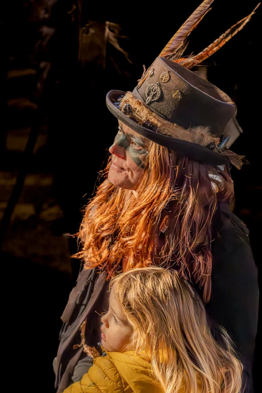 Entry 20530538