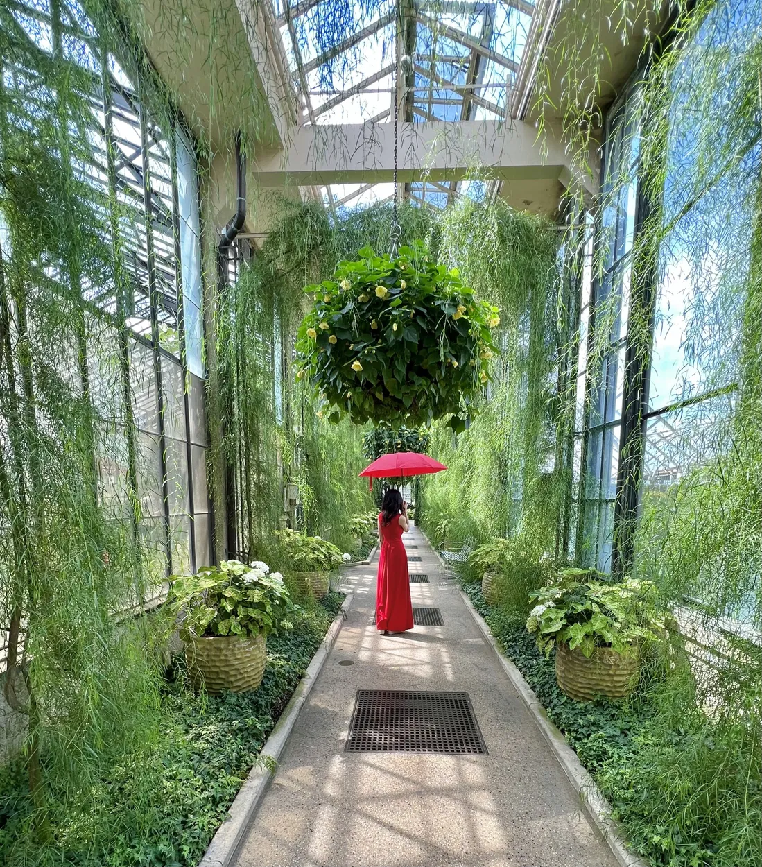 Entry 19210040