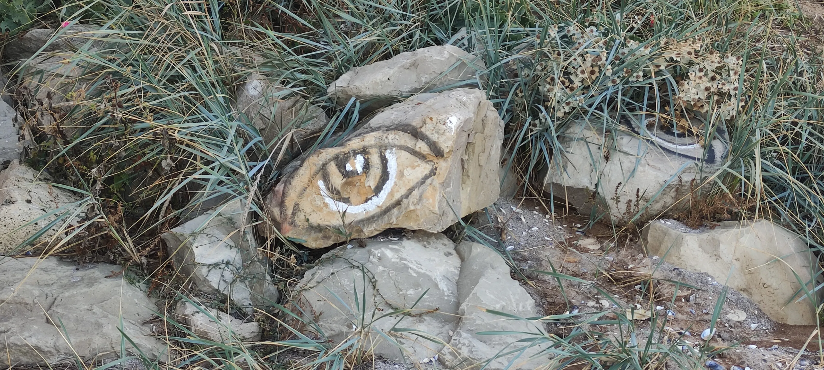Stone eye