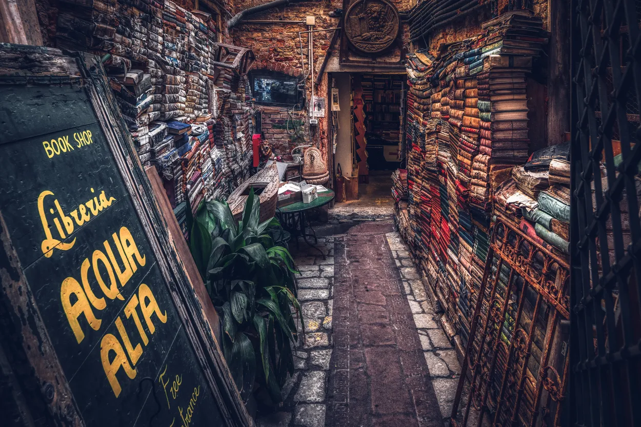 Entry 19239130