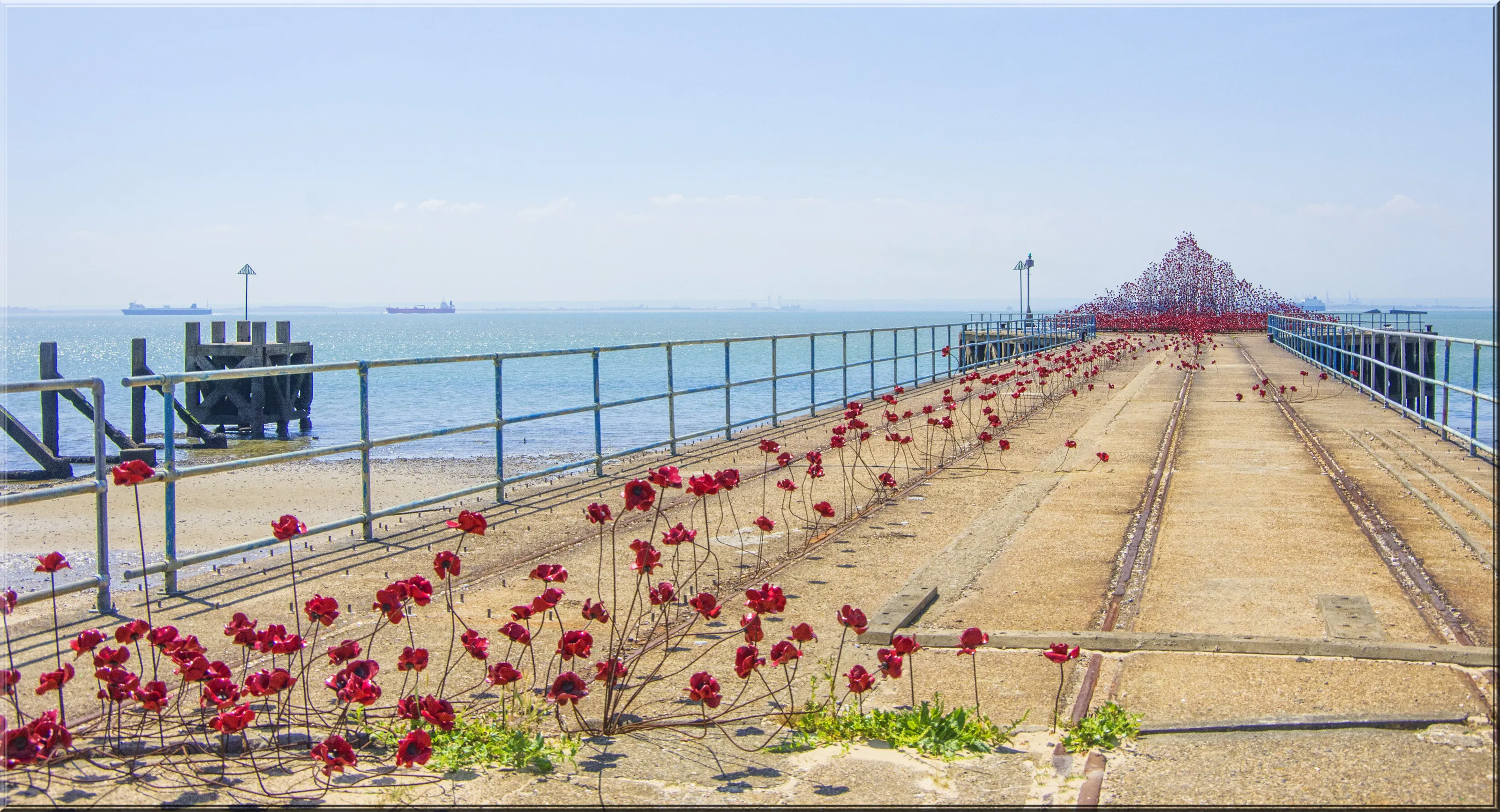 Poppy Wave