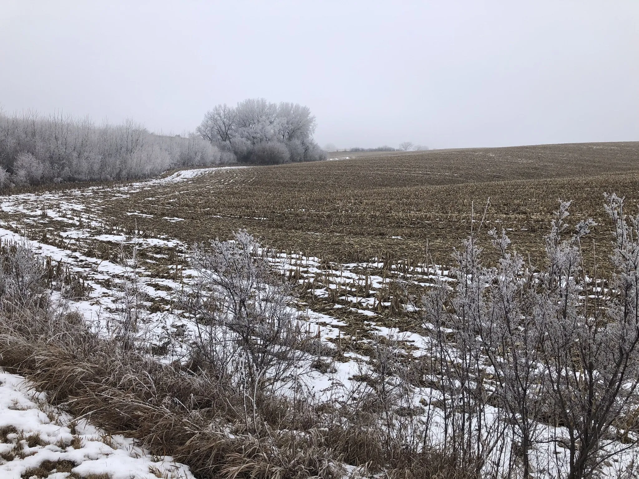 Field with Melting Snow