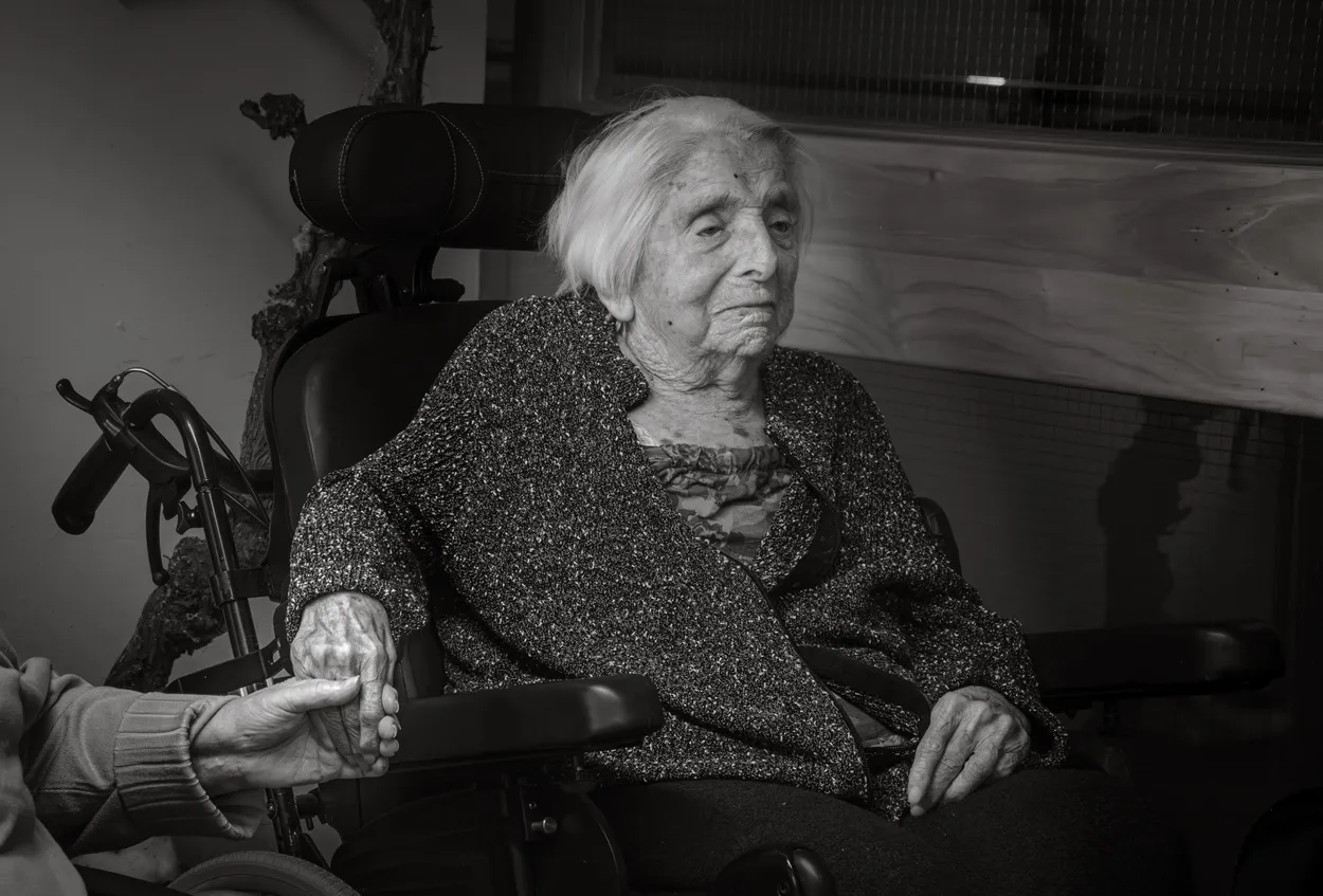Entry 23014239