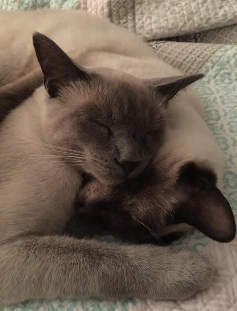 Brotherly Love ❤️