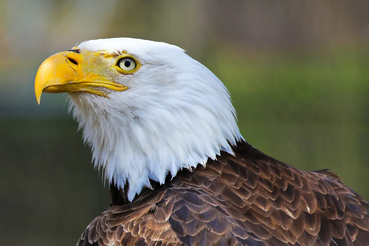 Entry 19263391