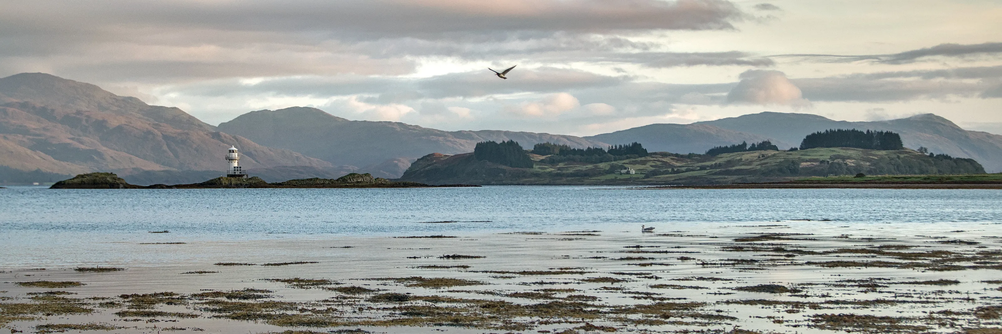 Appin Tides