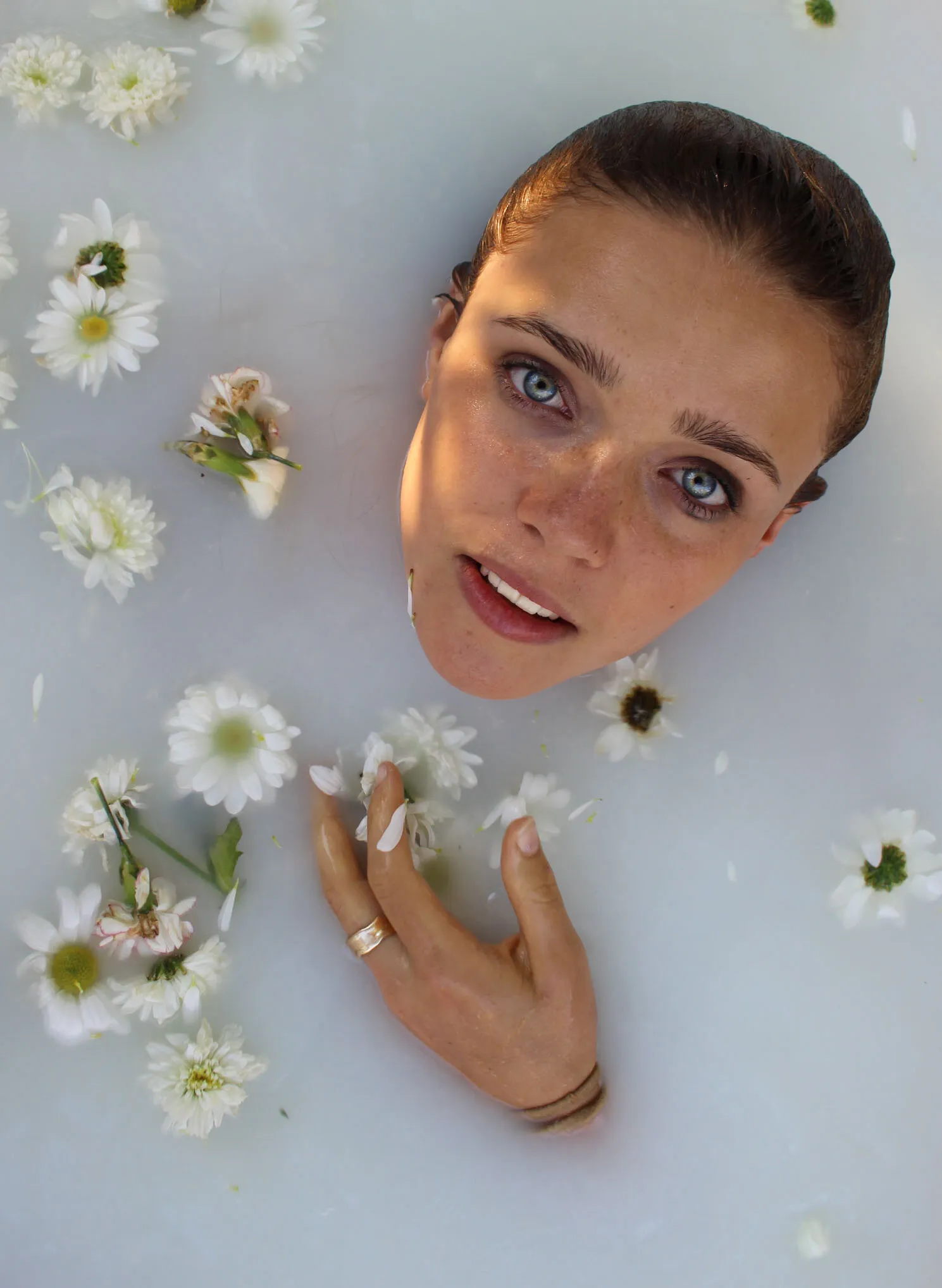 Milk and Daisies