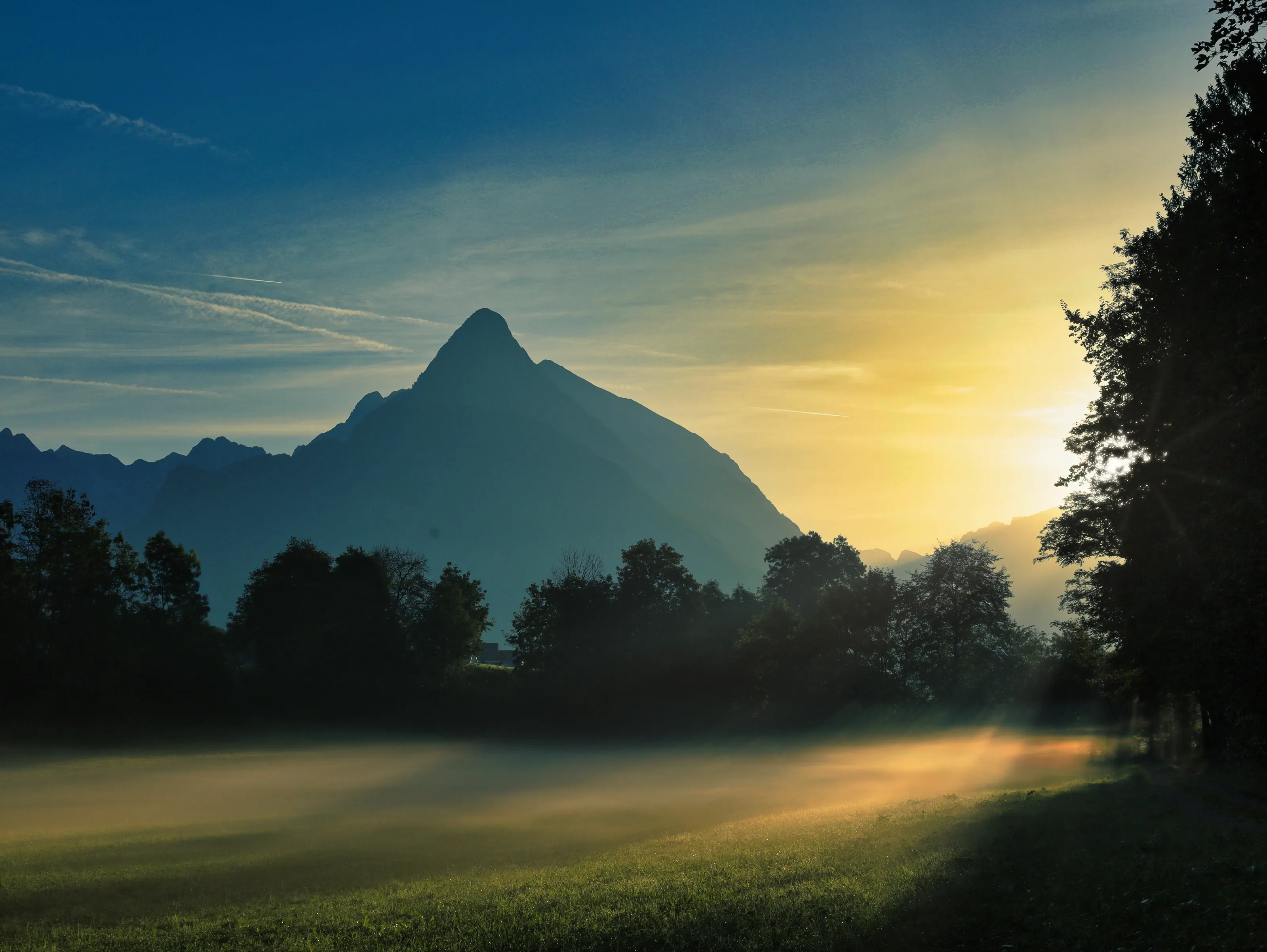 Summer Morning