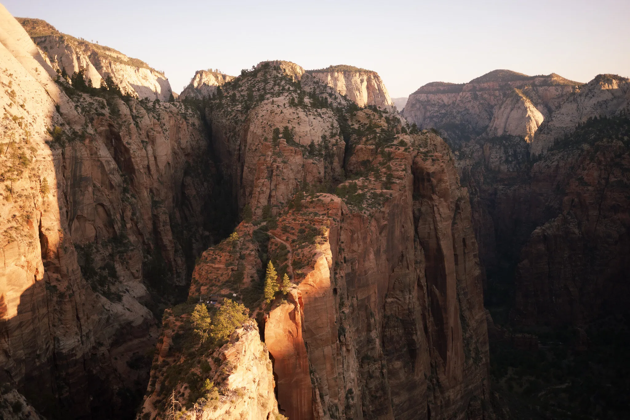 Morning light in Zion