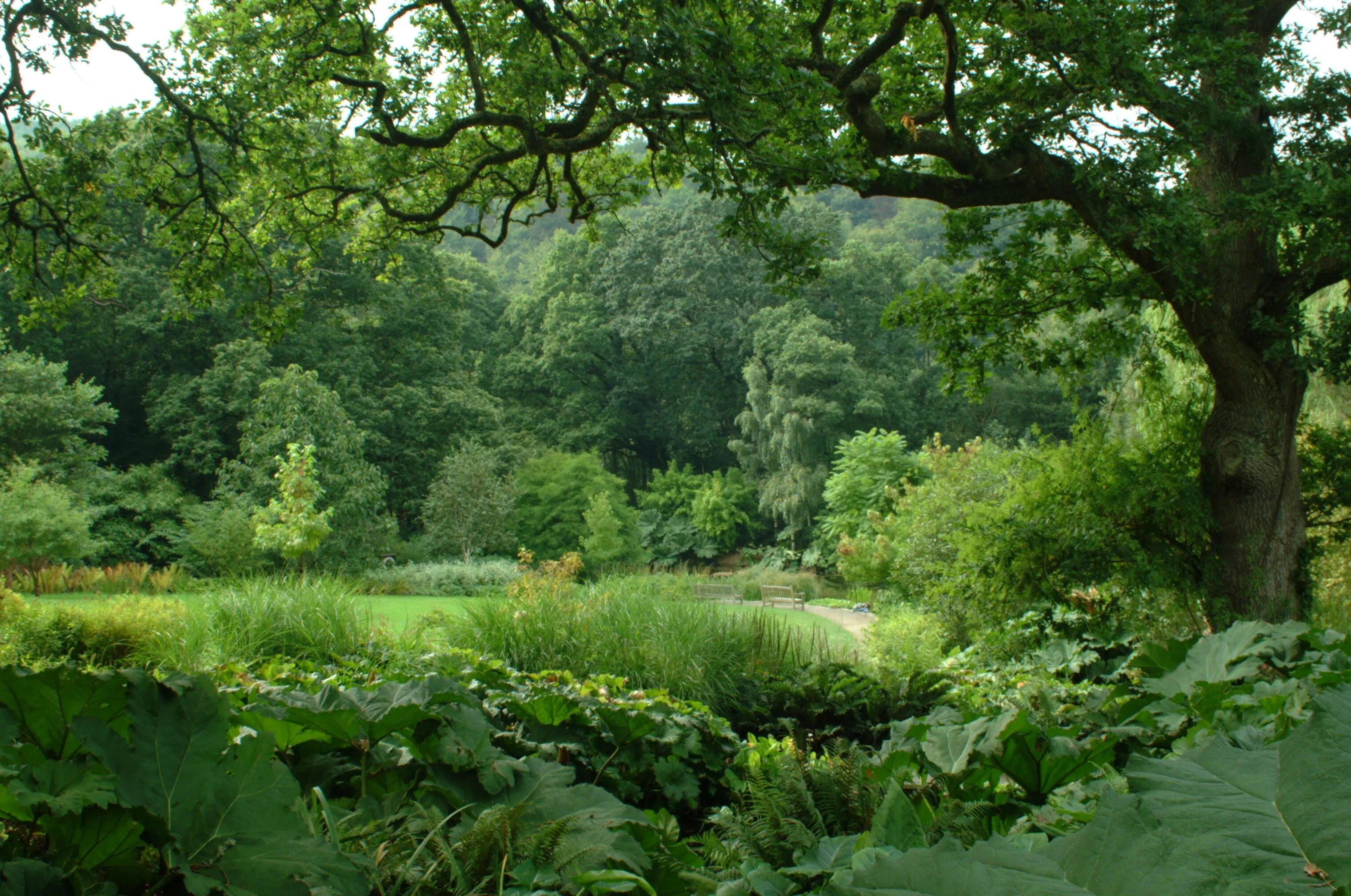 Tranquility